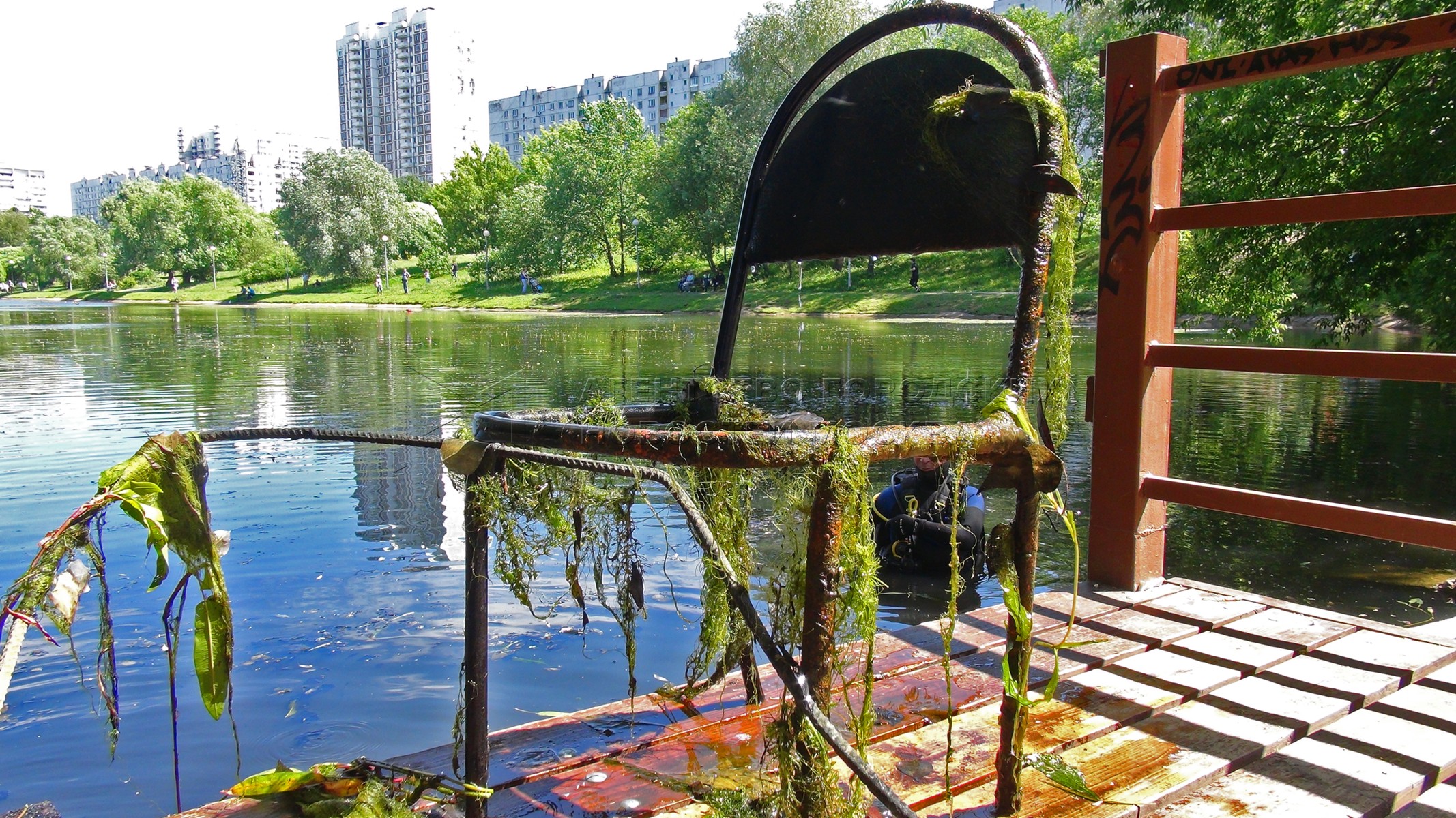 мазиловский пруд москва