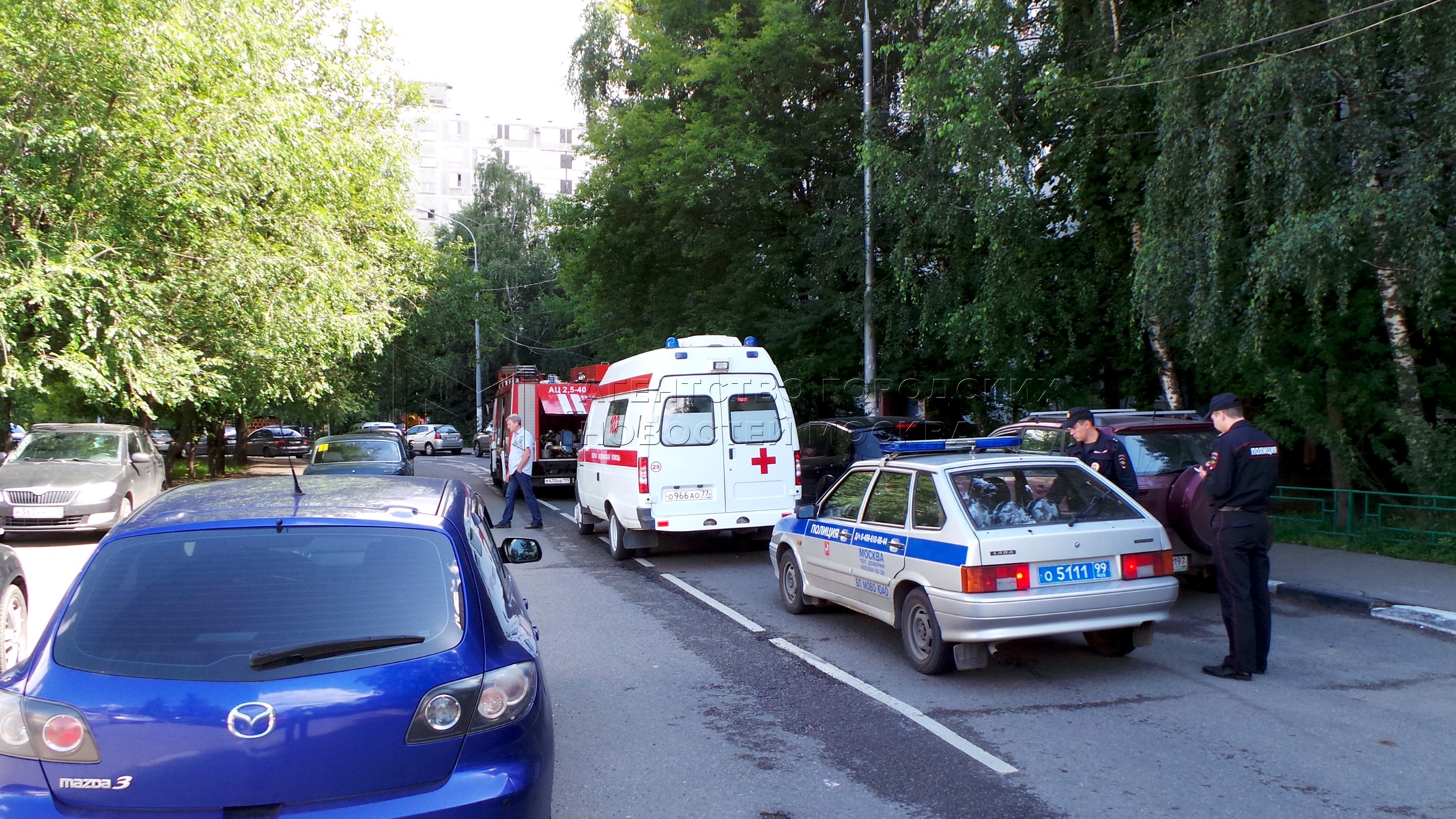 Агентство городских новостей «Москва» - Фотобанк