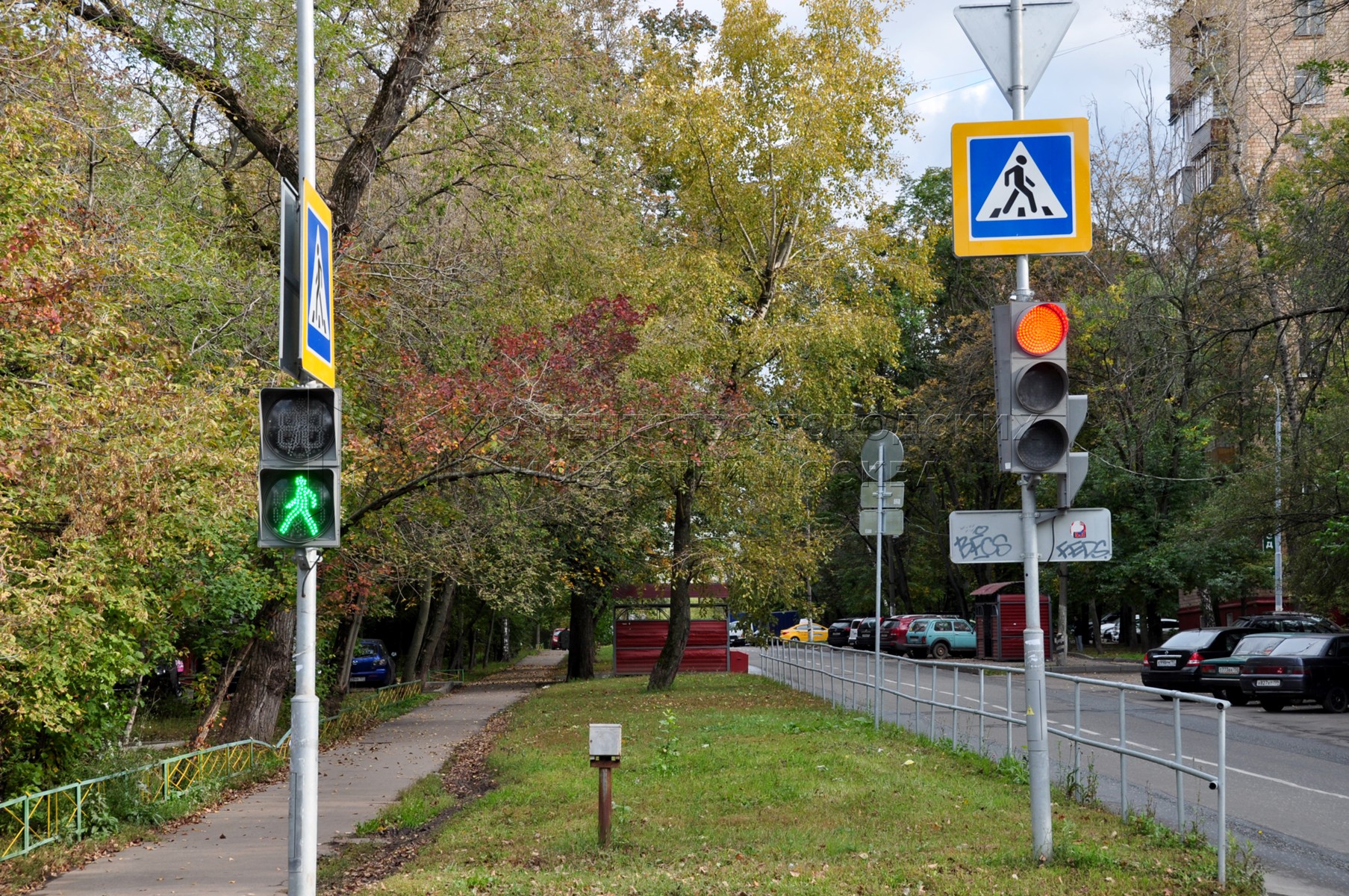 Светофор свао. Светофор. Светофор Москва. Светофор Калининград. Светофор пешеходный в Москве.