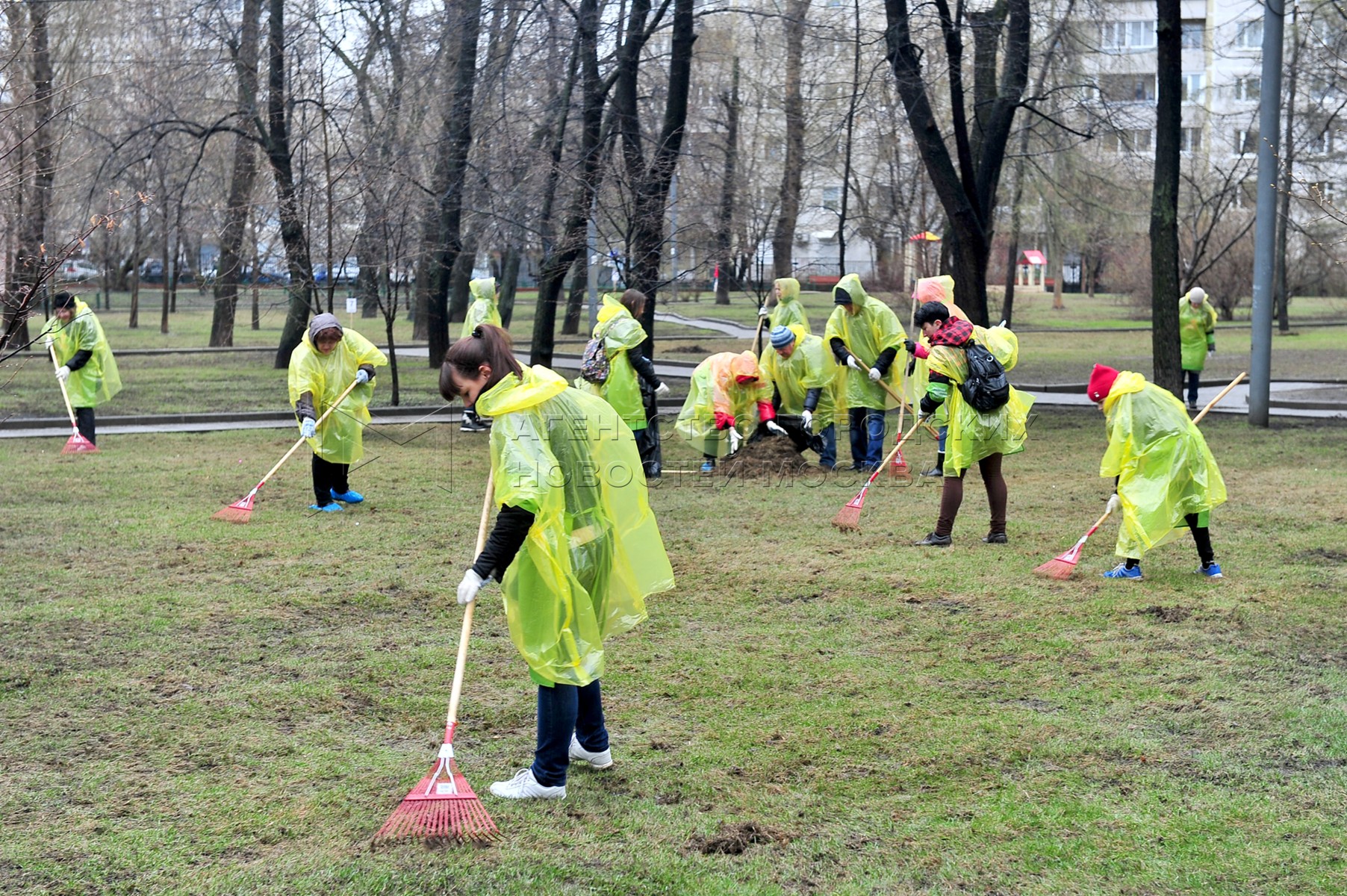 уборка парка