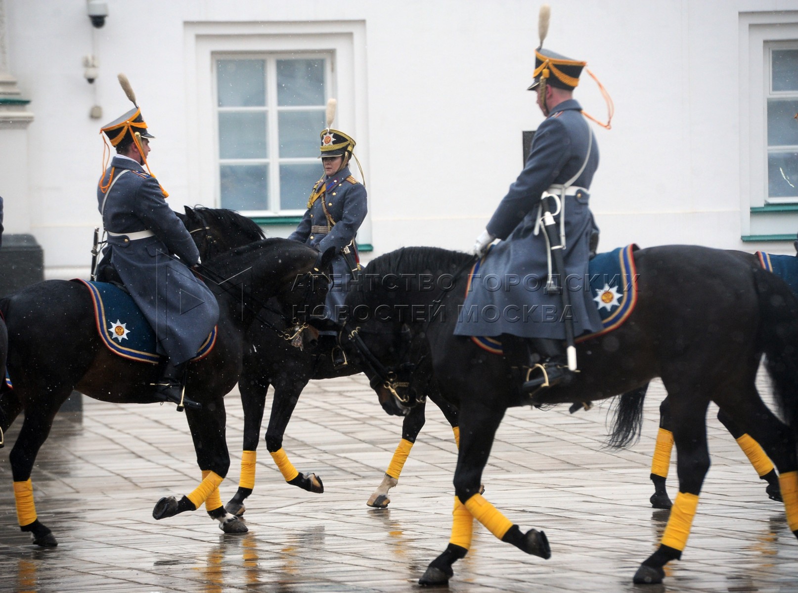 лошади президентского конного полка