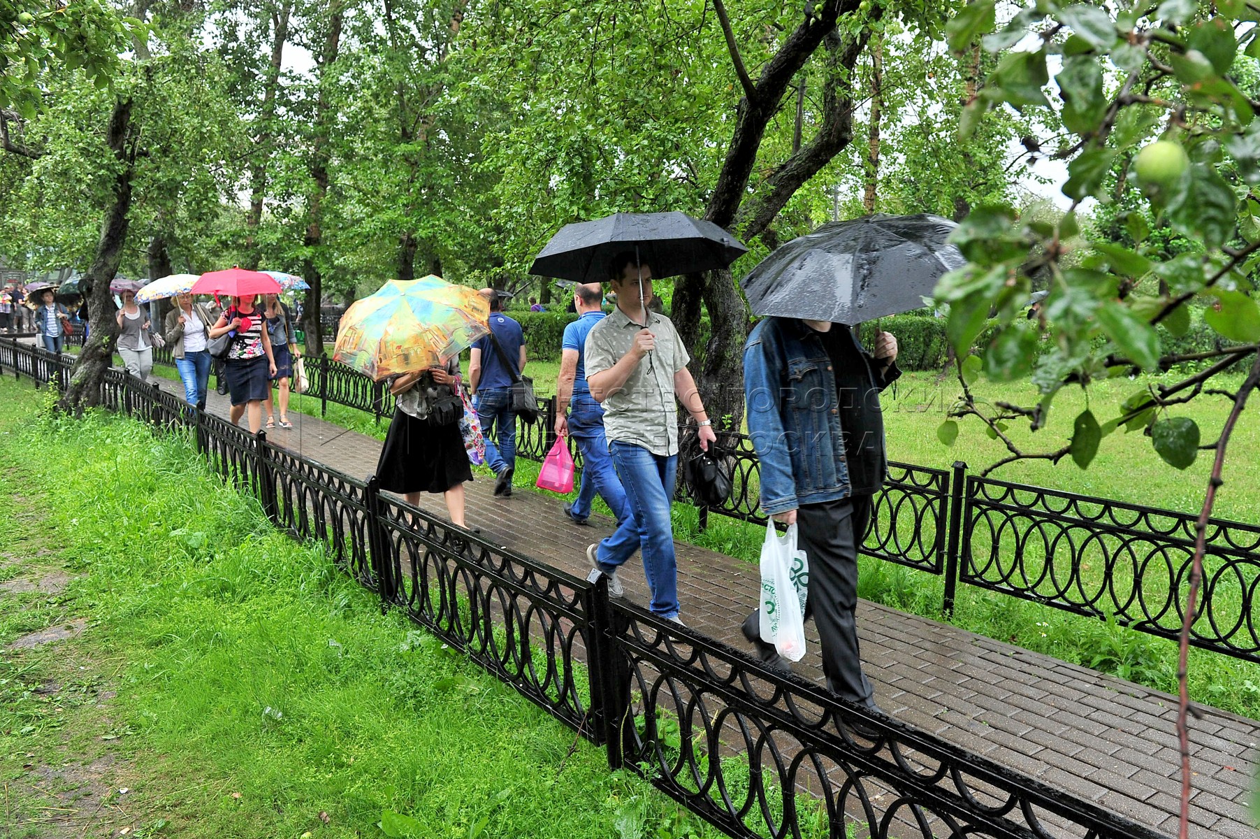 Летом будет 19. Дождливый летний день. Дождливое лето в городе. Летний дождь в Москве. Лето дождик в Москве.