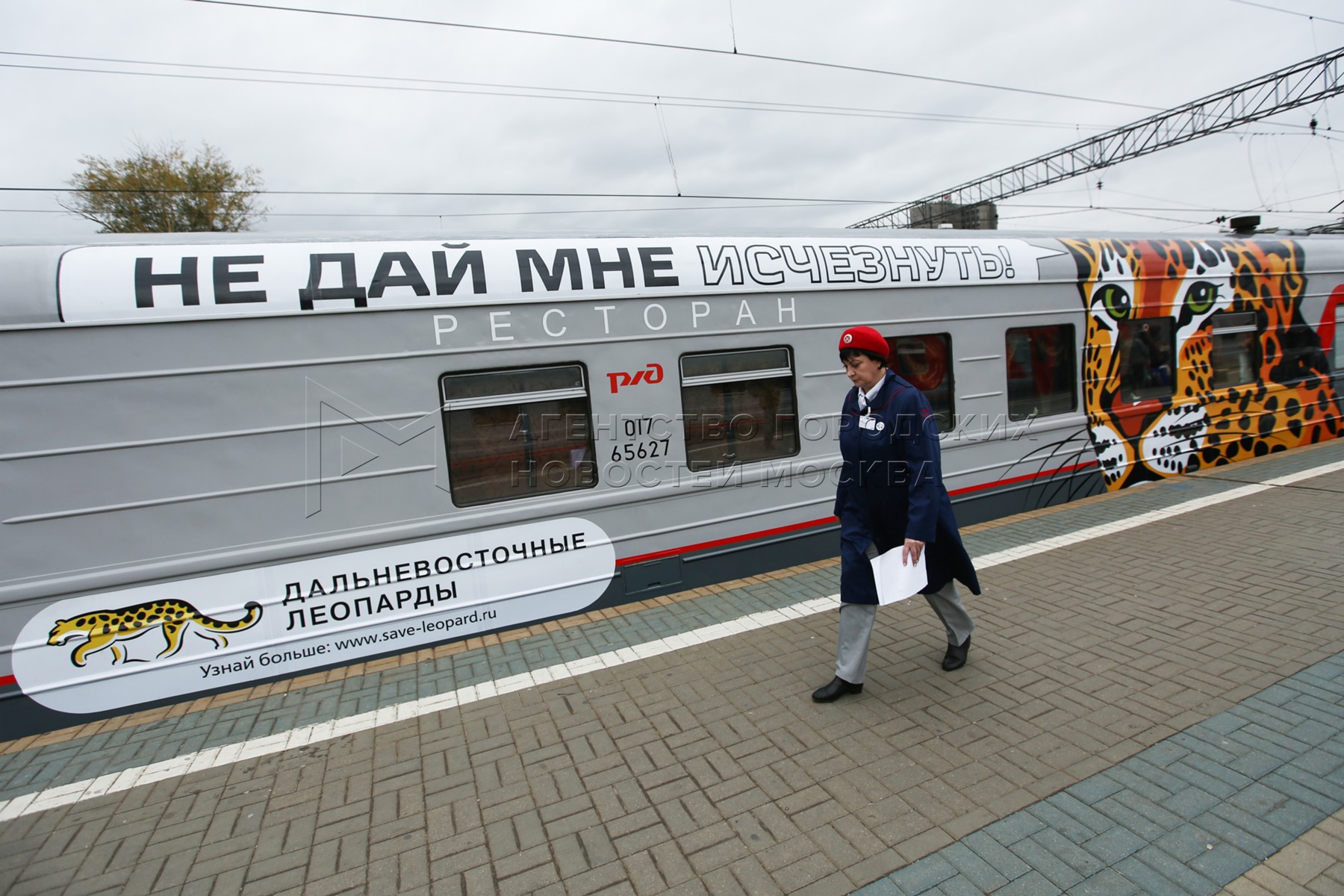 Агентство городских новостей «Москва» - Фотобанк