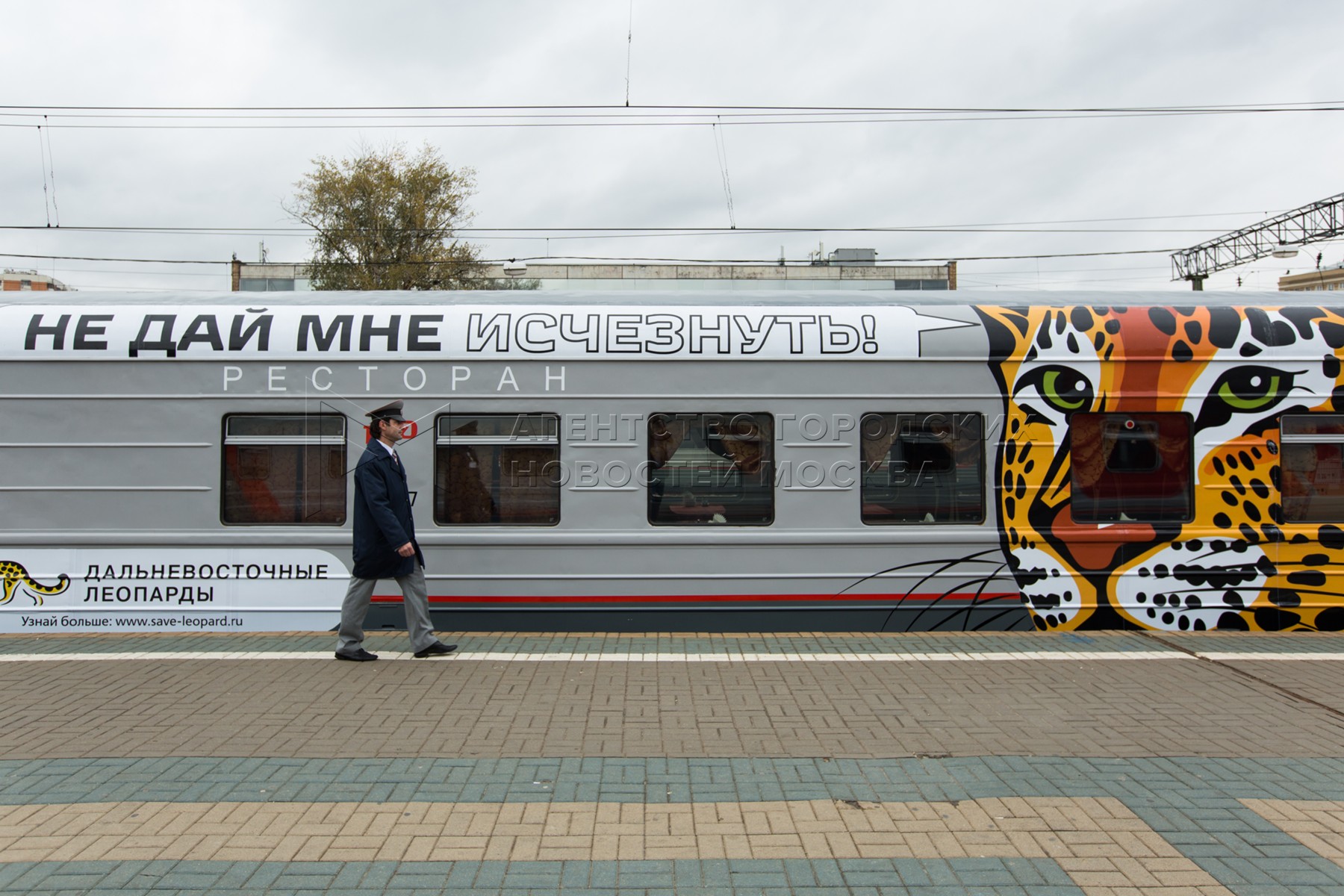 Агентство городских новостей «Москва» - Фотобанк