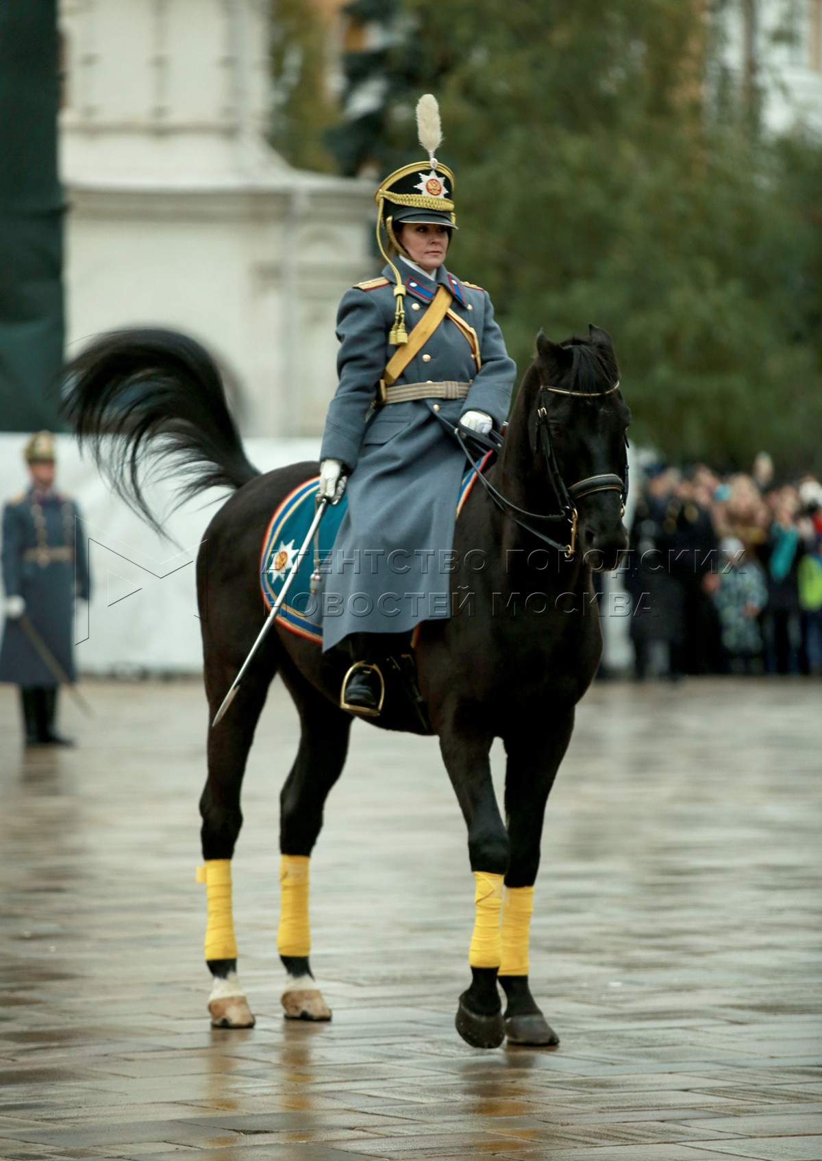 лошади президентского конного полка