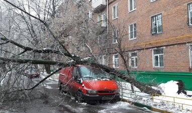 Падение дерева на автомобиль