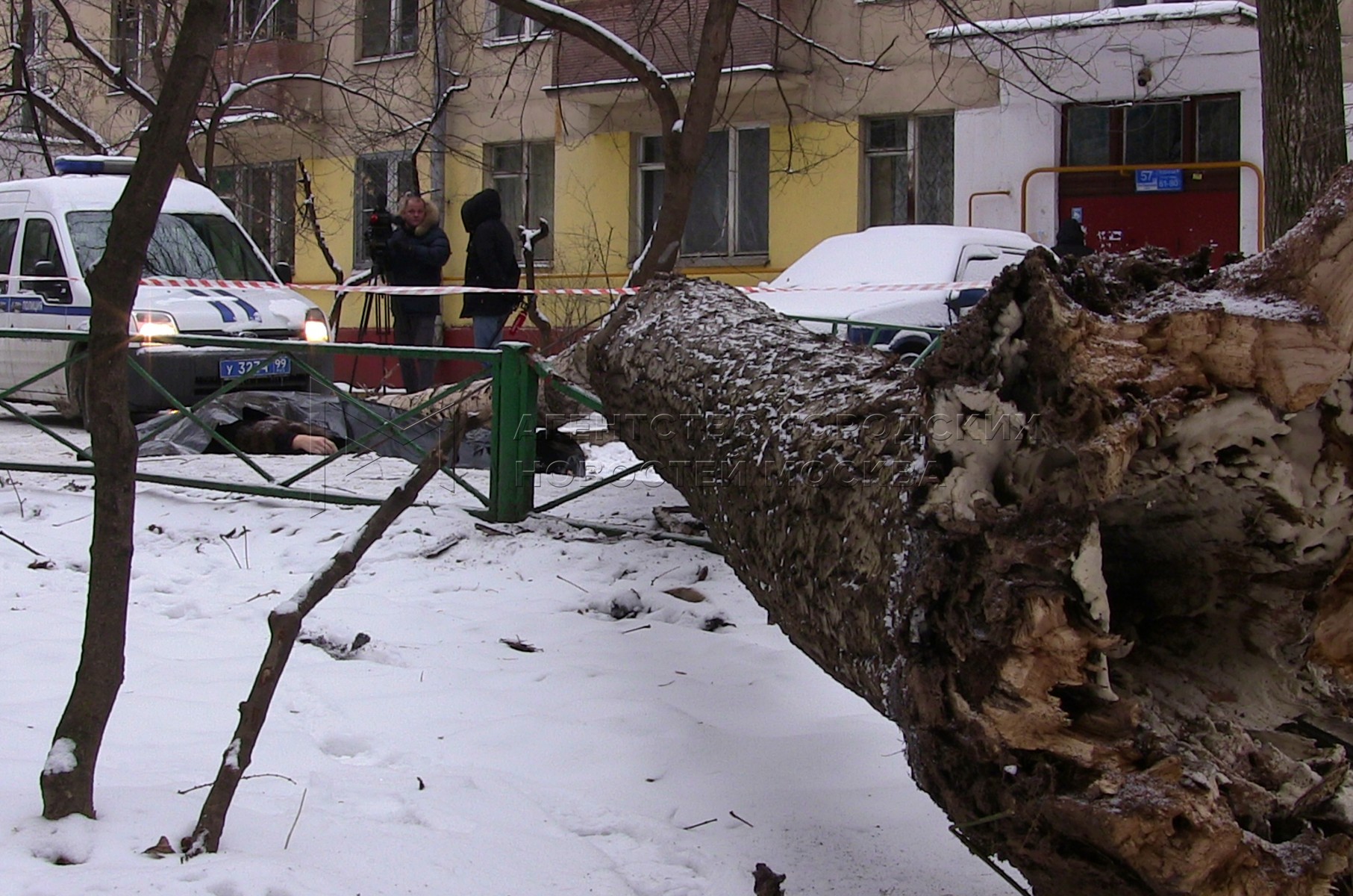 Упало дерево в парке