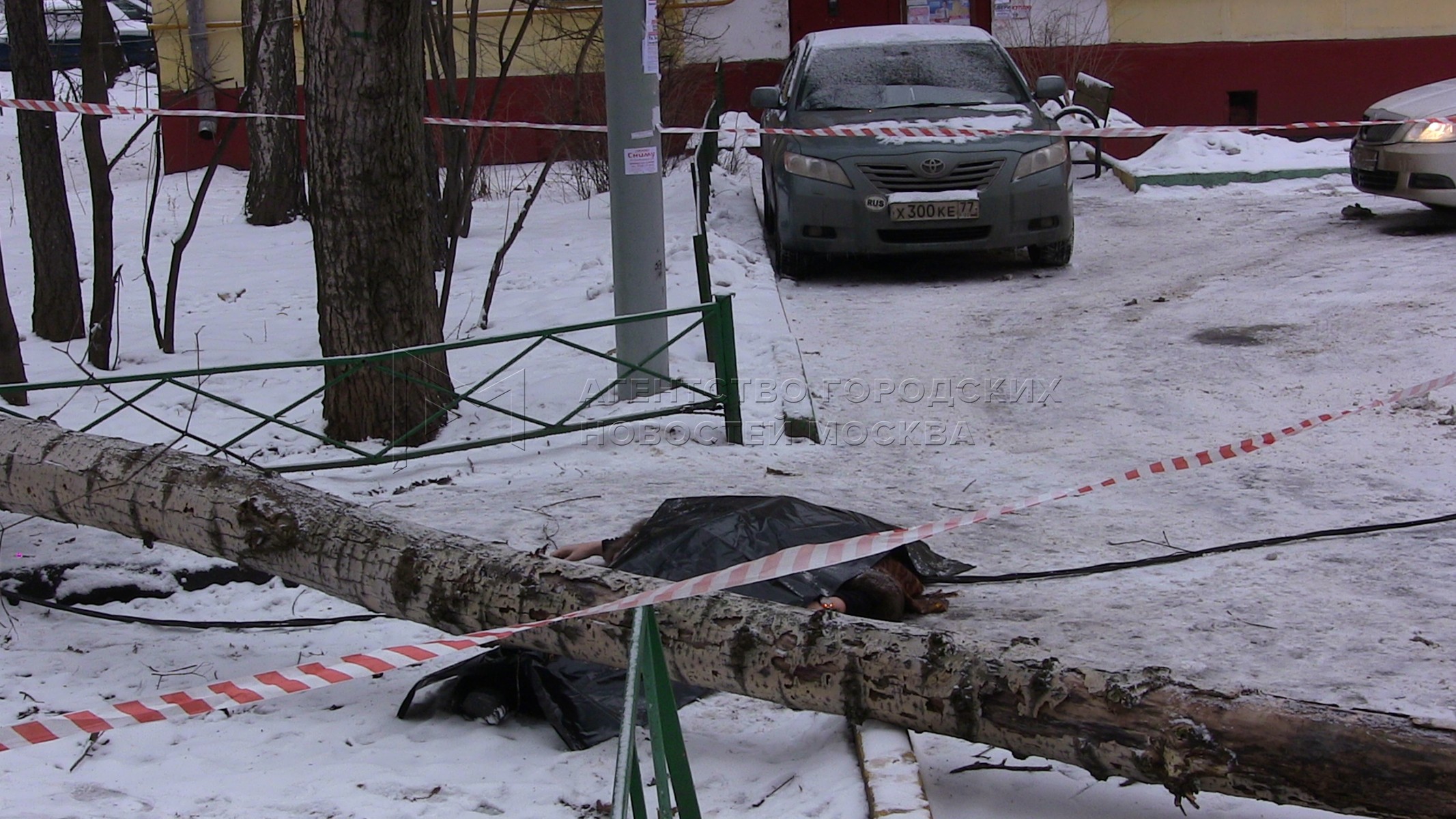 Агентство городских новостей «Москва» - Фотобанк