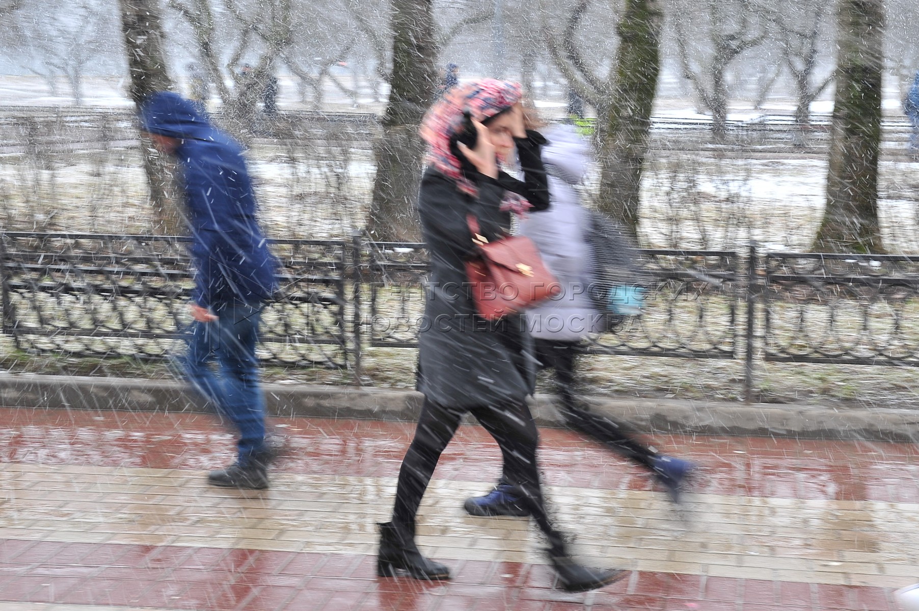 Штормовое предупреждение в Москве.