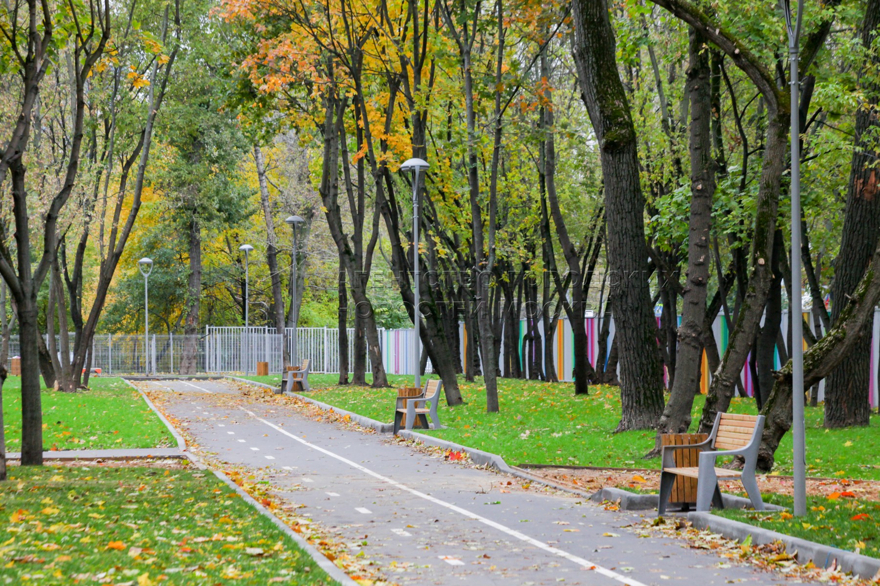 Фестивальный парк в москве фото