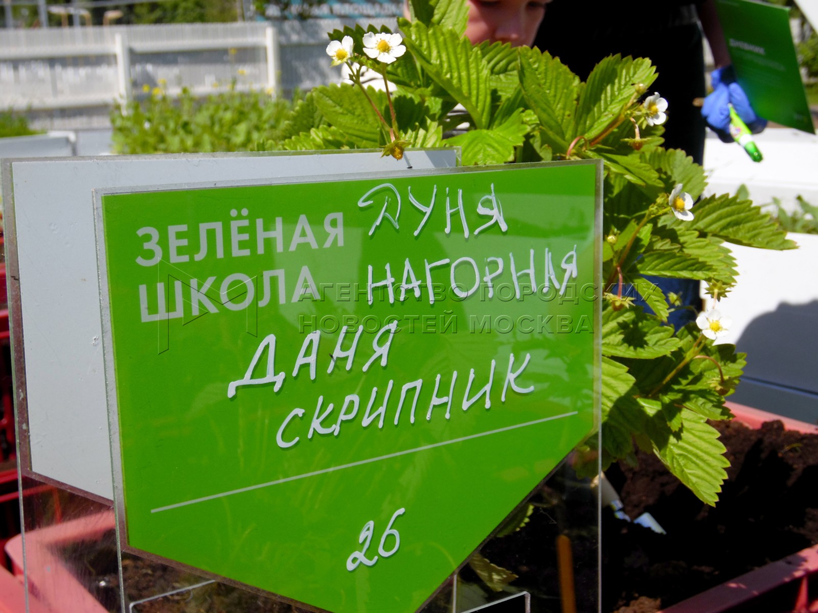 Агентство городских новостей «Москва» - Фотобанк