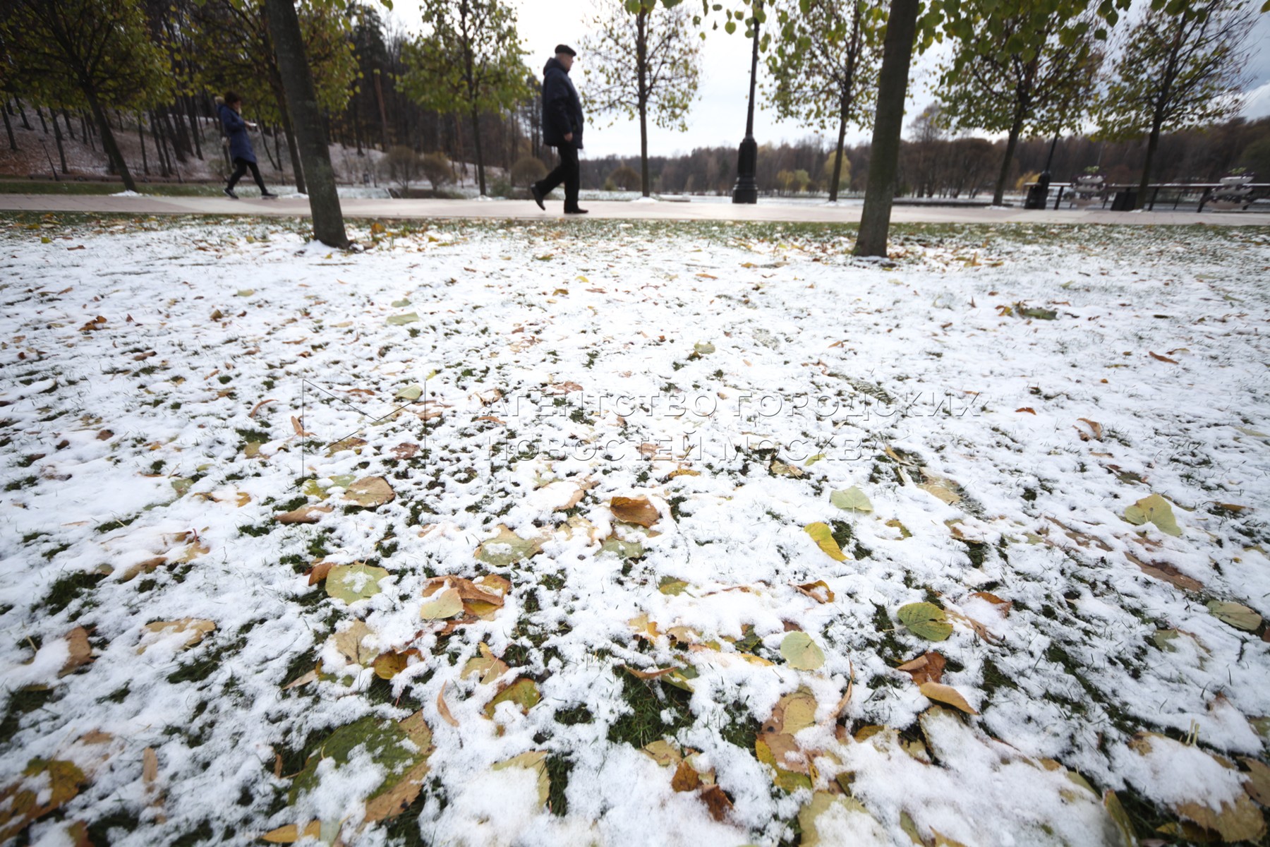В россии выпадет снег. Первый снег в Москве. Выпал первый снег. Первый снег в сентябре. Первый снег в Москве в октябре.
