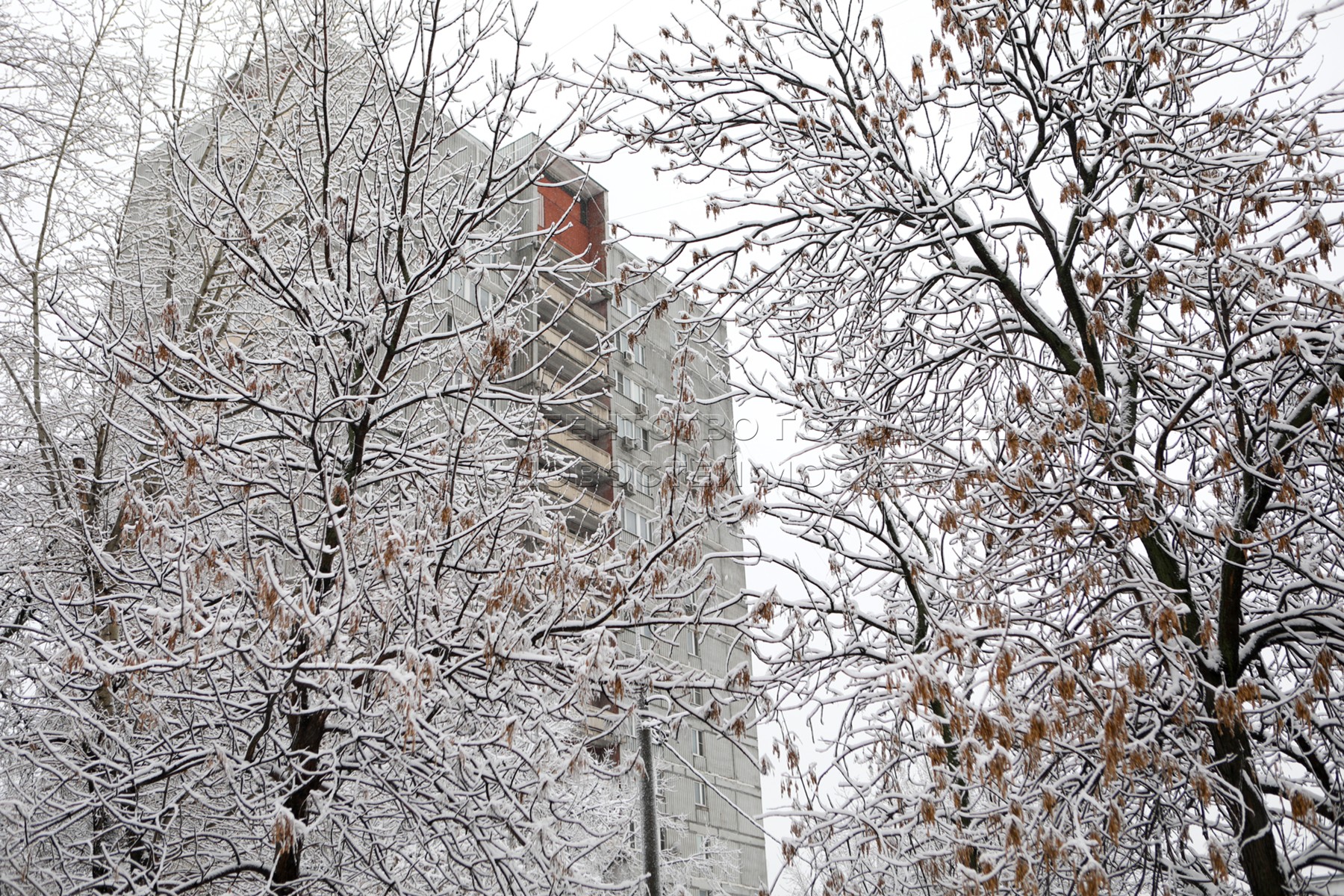 Москва 13 февраля