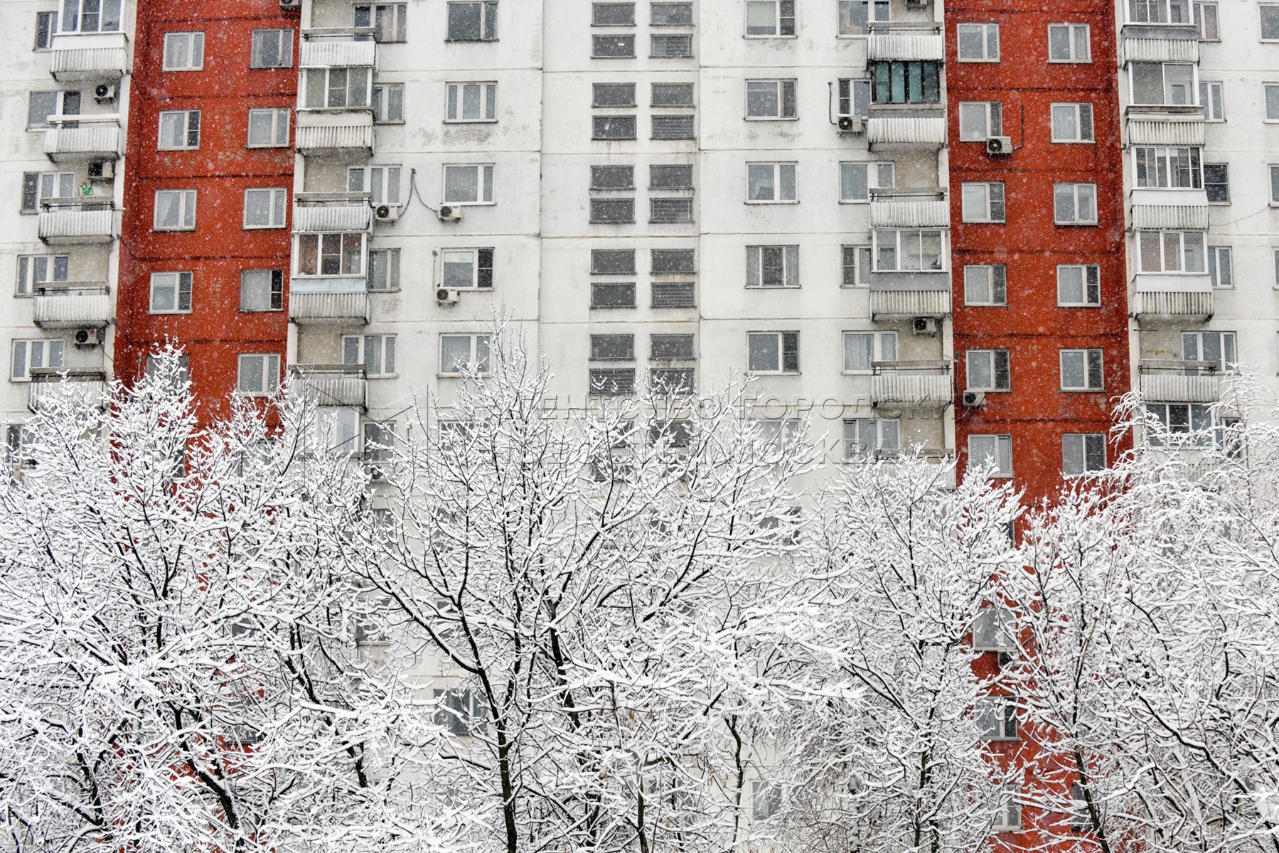 Москва 13 февраля