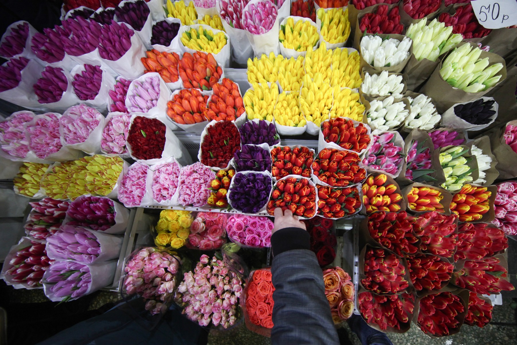 Сколько стоят тюльпаны на рынке. Рижский рынок тюльпаны. Рижский рынок цветов. Рижский рынок цветы. Букет цветов Рижский рынок.