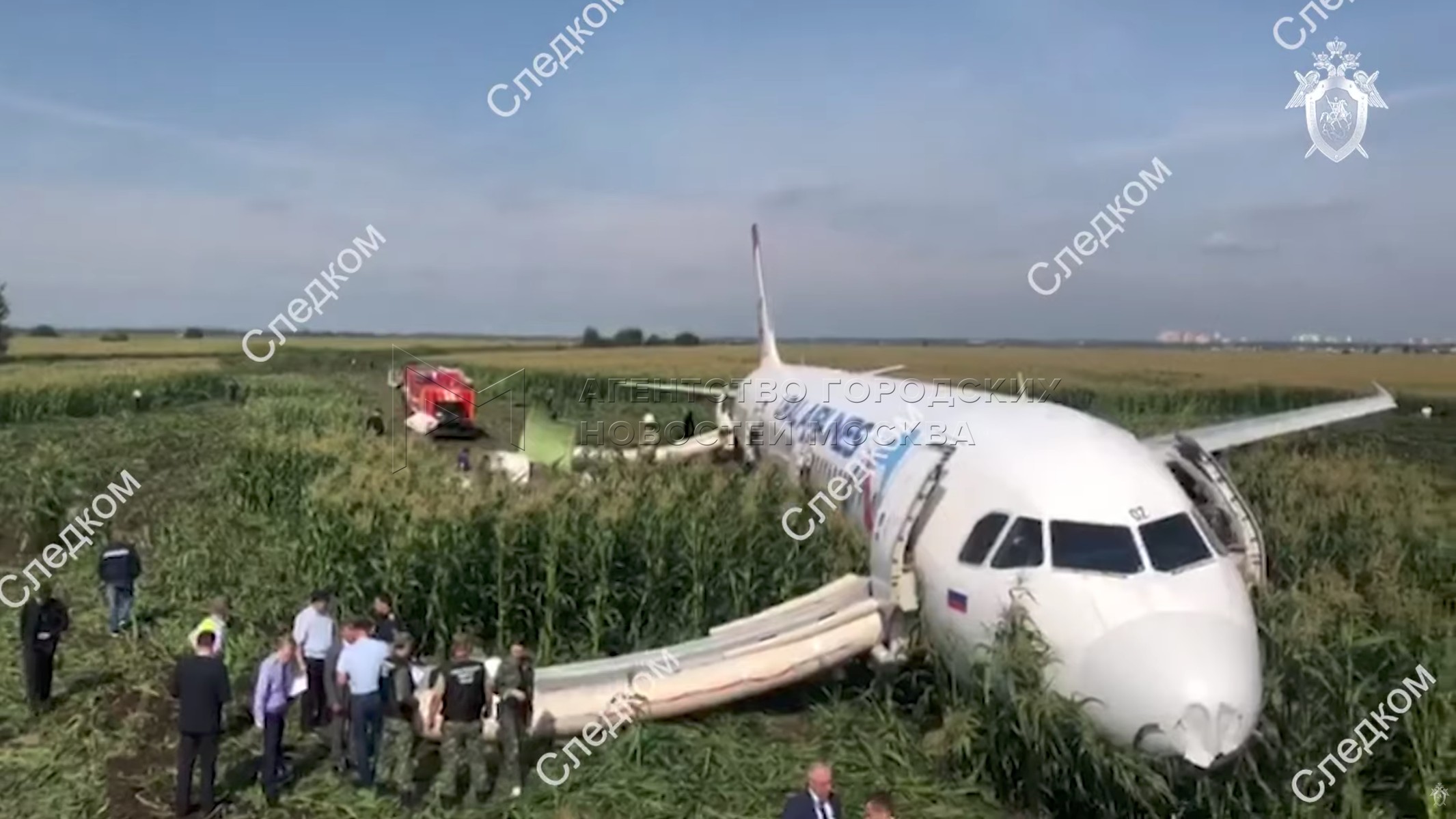 Самолет сел в поле. Аэропорт Жуковский свалка самолетов. Дамир Юсупов посадил самолет на кукурузное поле. Посадка на кукурузном поле. Аварийная посадка a321 под Жуковским.