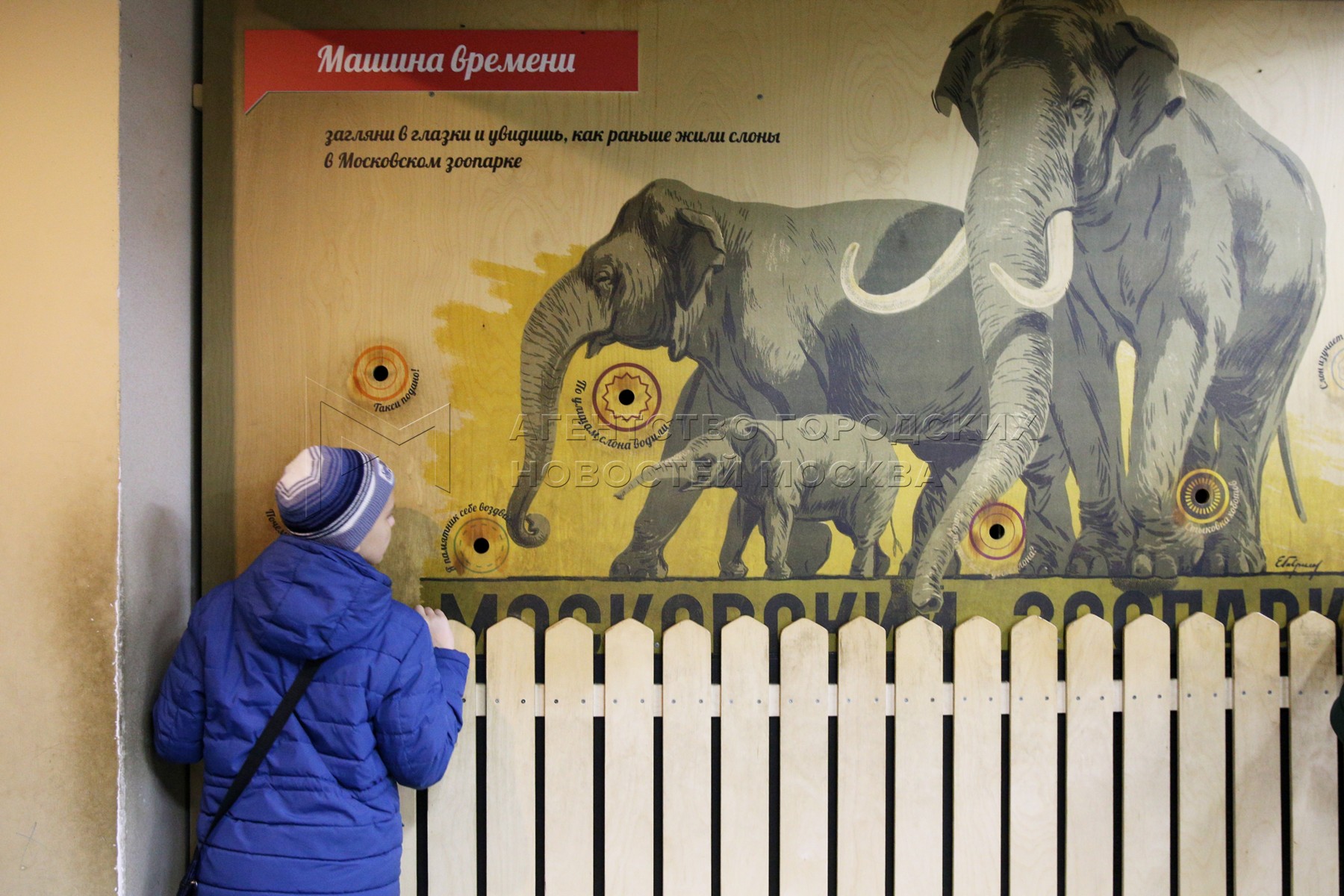 В Московский зоопарк приедет Собянин