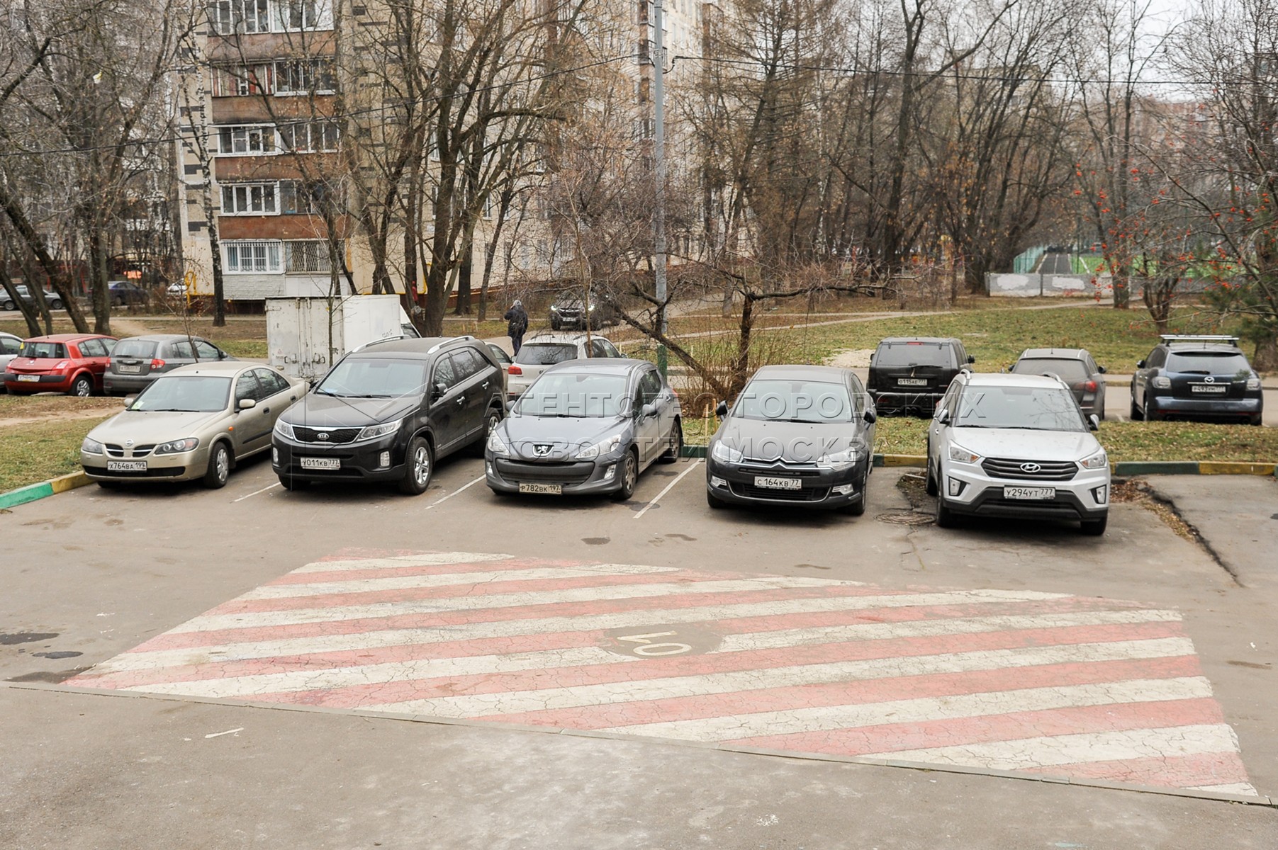 Агентство городских новостей «Москва» - Фотобанк