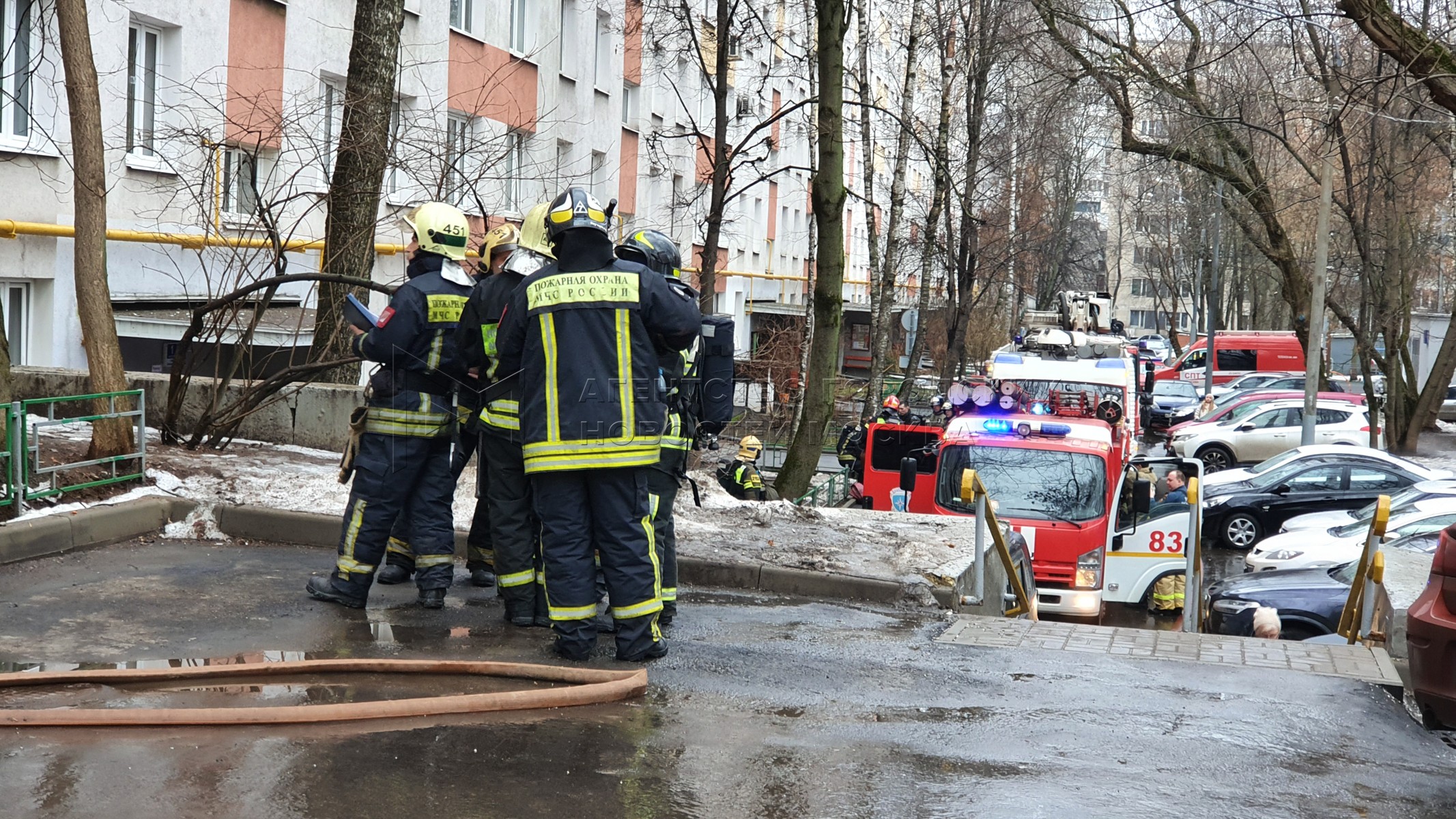 Агентство городских новостей «Москва» - Фотобанк