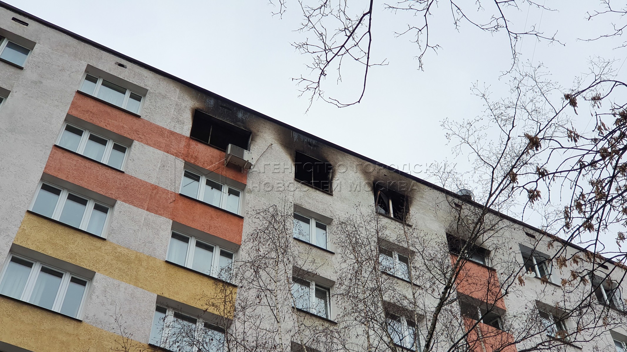 Агентство городских новостей «Москва» - Фотобанк