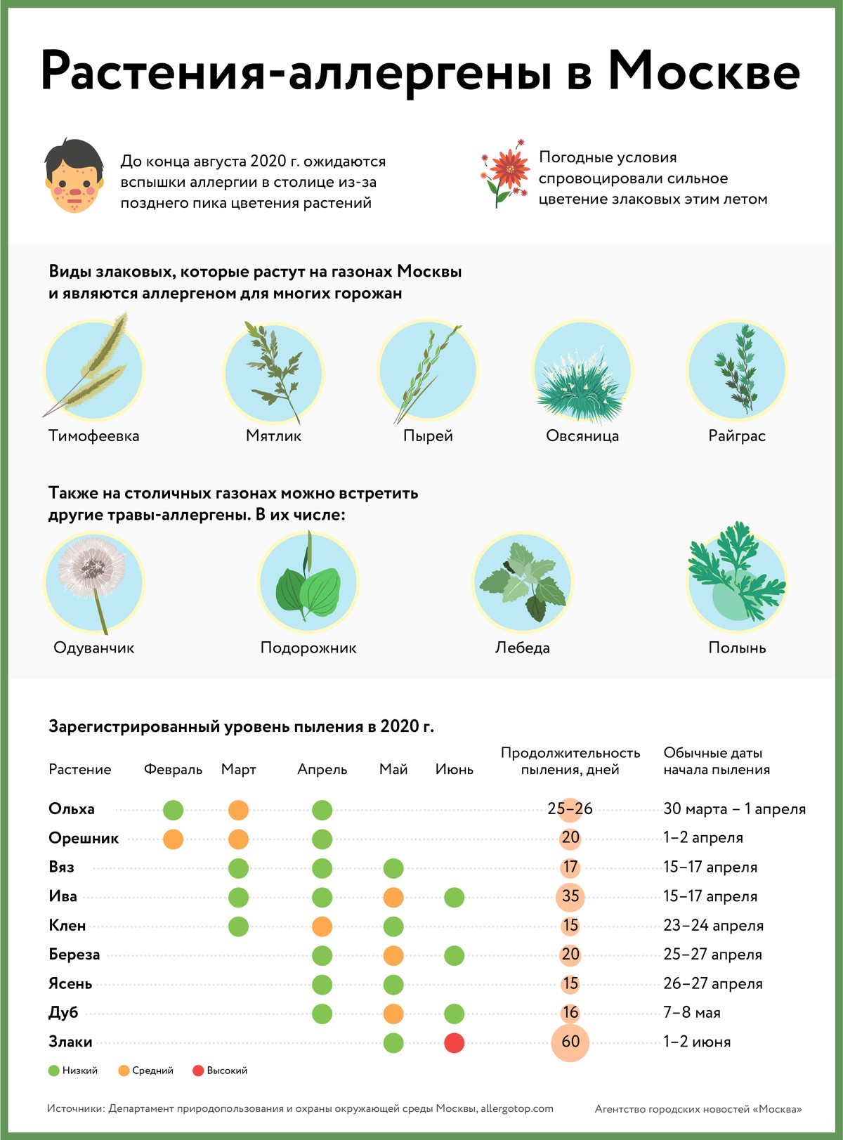 Уровень пыльцы в москве. Растения вызывающие аллергию. Растения сильные аллергены. Растения аллергены цветущие в конце августа. Аллергенные растения список.