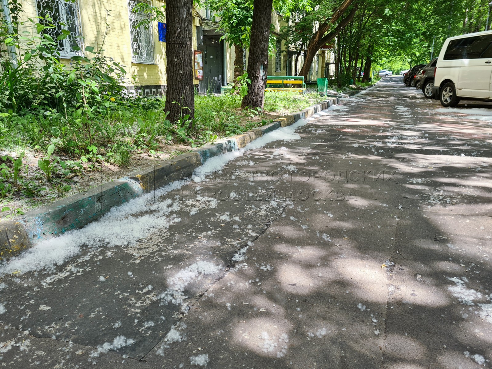 Фото тополиный пух в городе