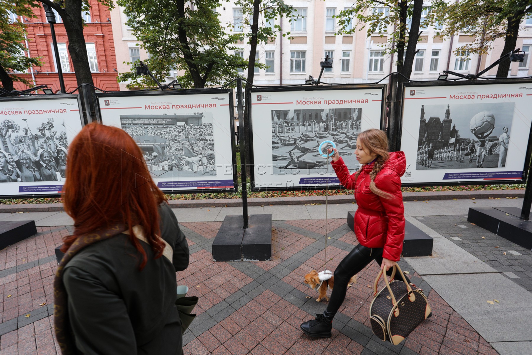 Выставка фотографий в москве. Фотовыставка на Никитском бульваре. Фотовыставки на бульварах Москвы. Выставка картин Art Life 2021 Никитский бульвар. Городской бульвар.