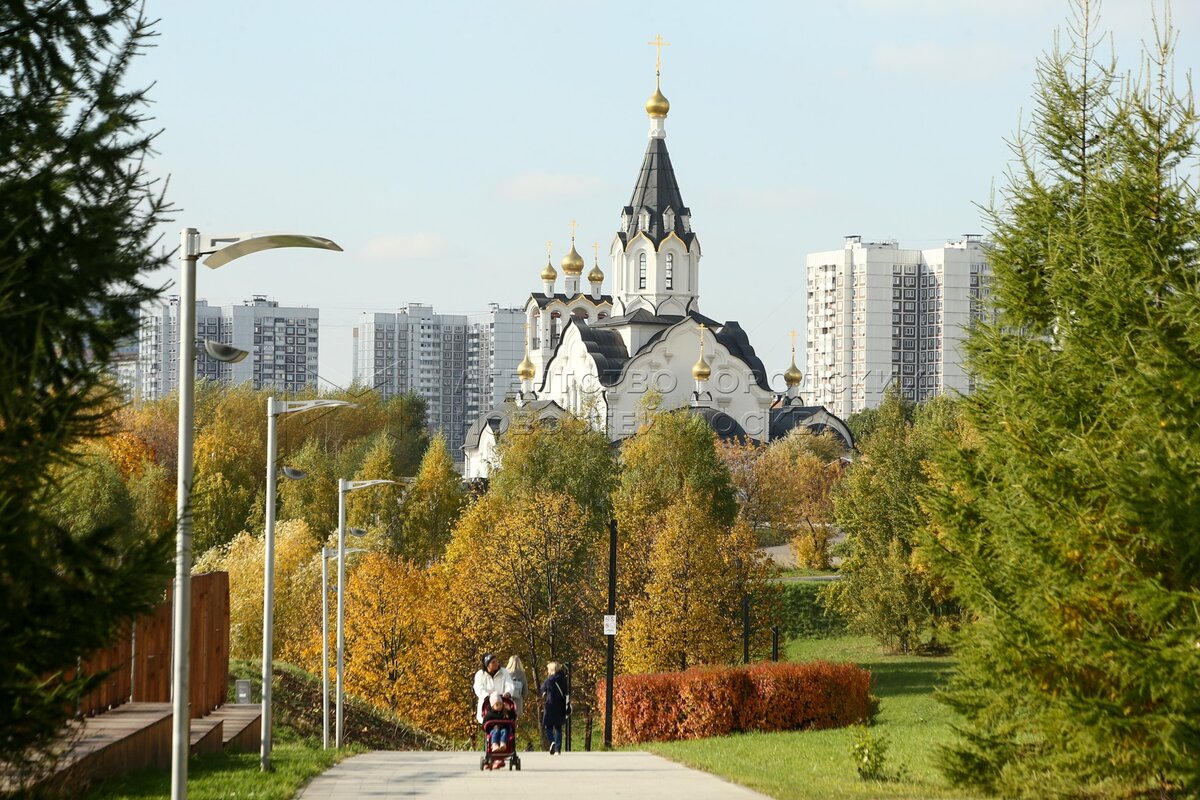 Москва город московский погода