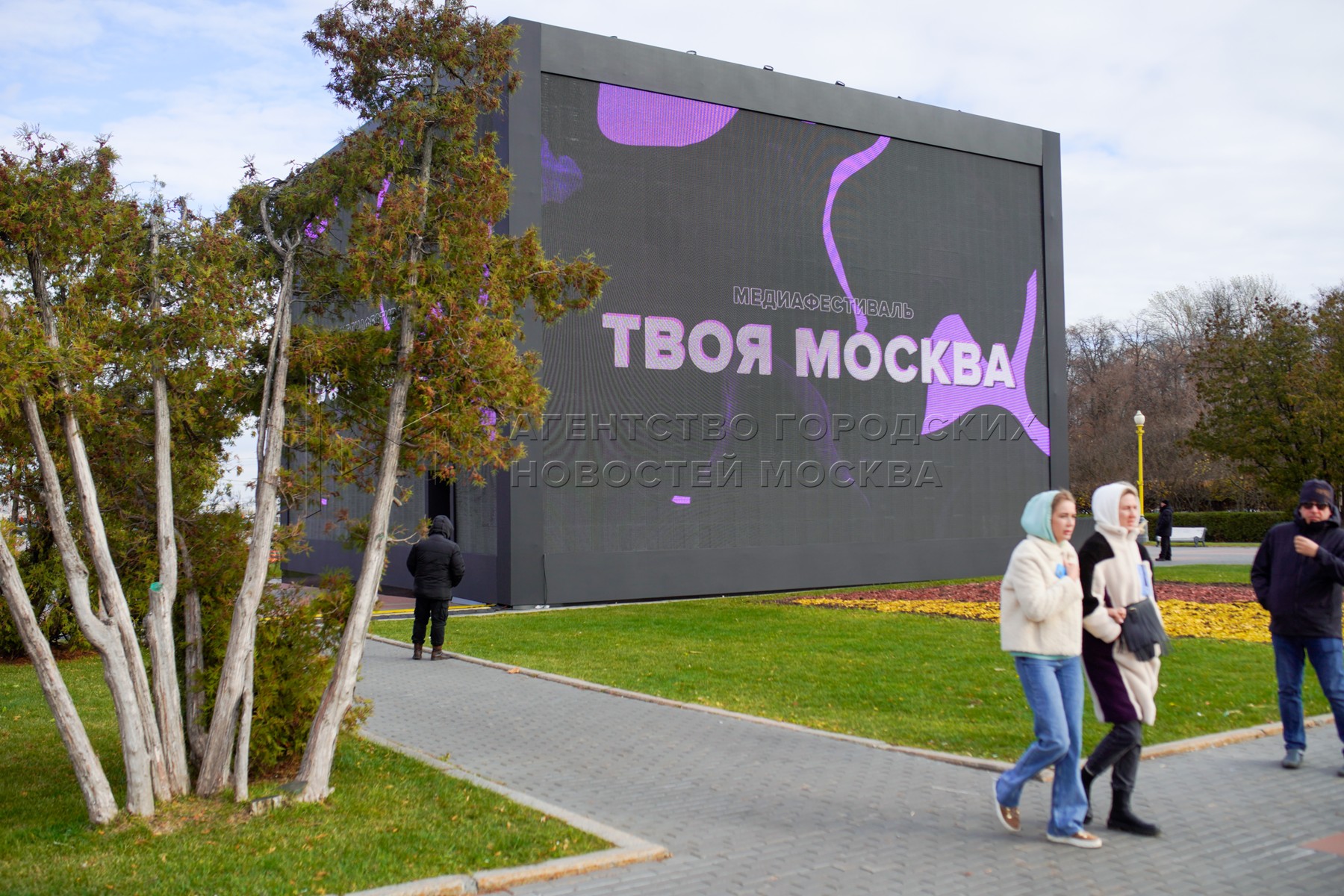 Проект твоя москва