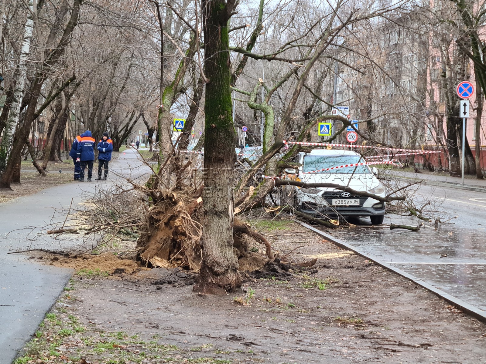 Ветер в москве сегодня когда закончится. Сильный ветер в Москве. Ураган повалил деревья на машины в Москве. Ветер в Москве сейчас. Снег в Москве 30 ноября 2021.