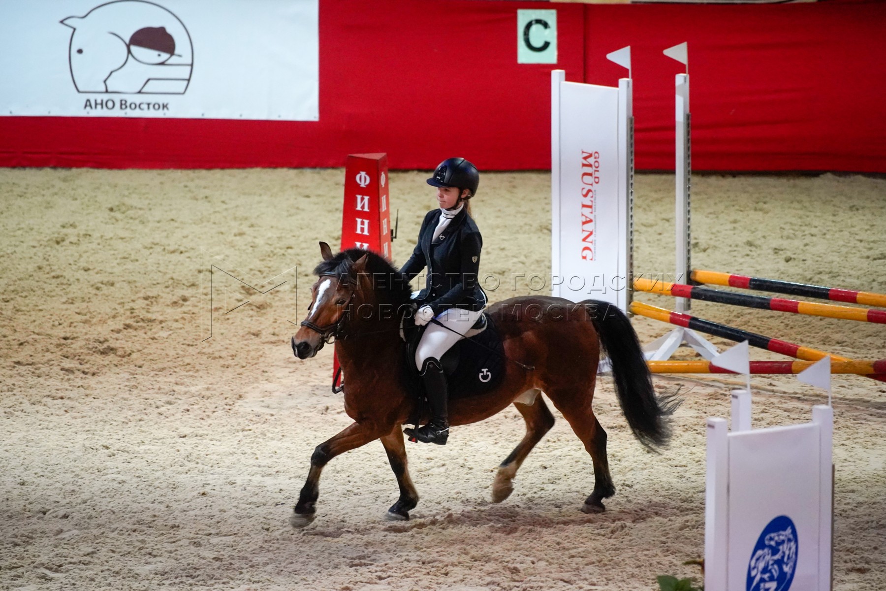 Вднх конный спорт. Вднх выступление лошадей. Кремлевская школа верховой езды вднх. Конное выступление на вднх. Конные соревнования на вднх 2024.
