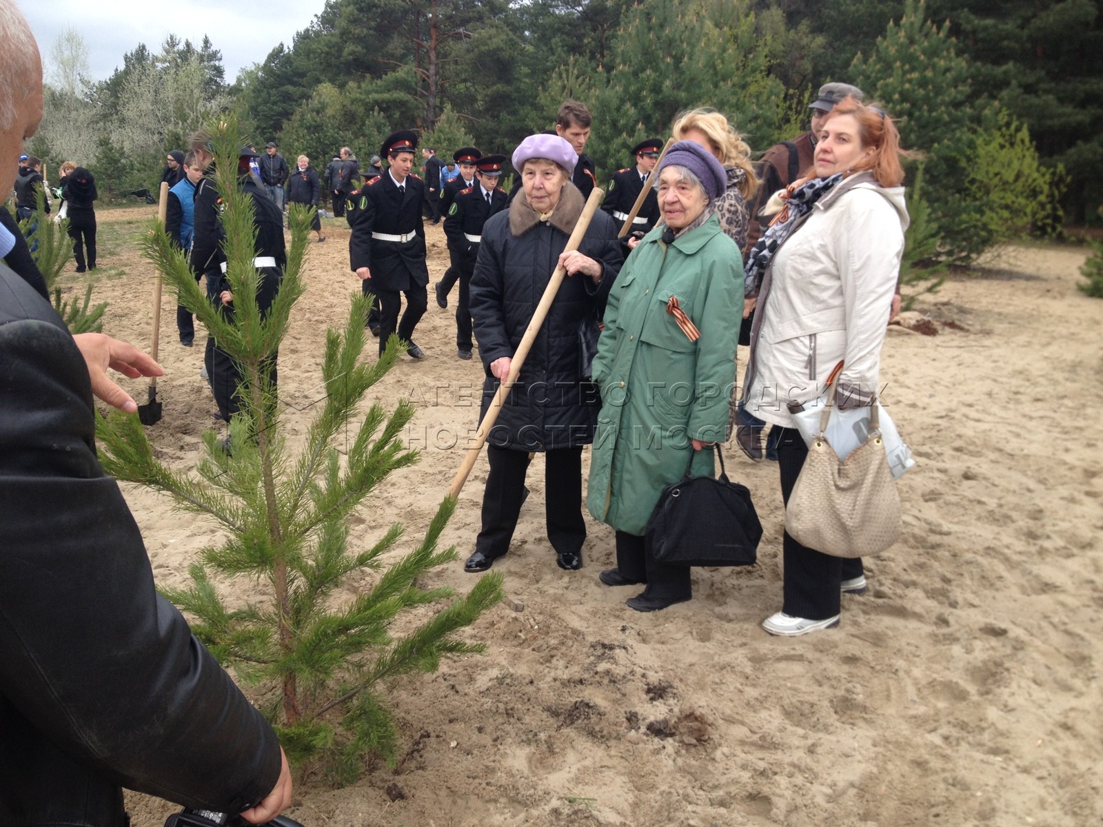 Посадили дерево победы. Матвиенко сажает дерево. Фото Газманов в Омске сажает деревья.