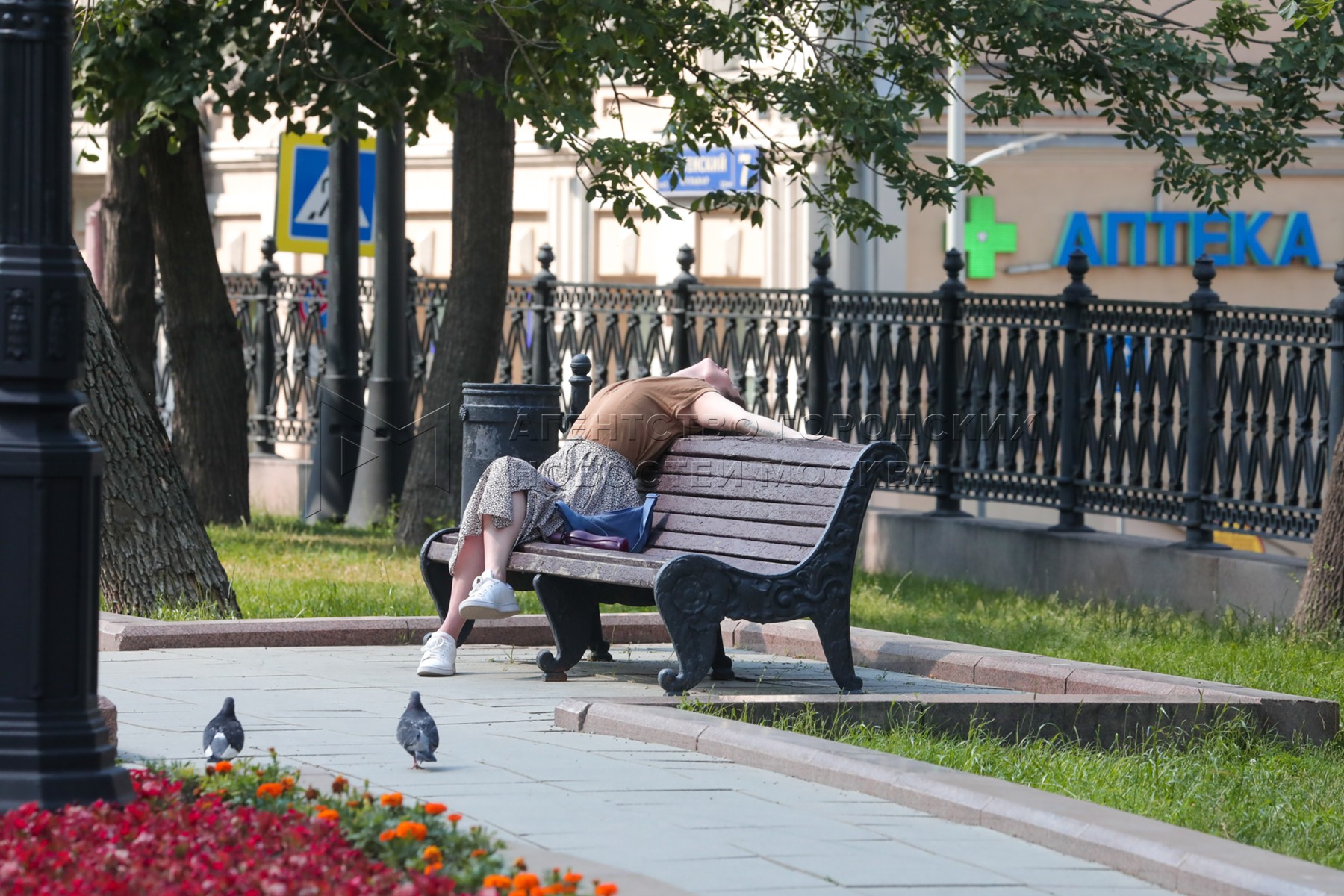 Когда спадет жара в спб. Жара в Москве. Жара в Петербурге. Петербург в июле.