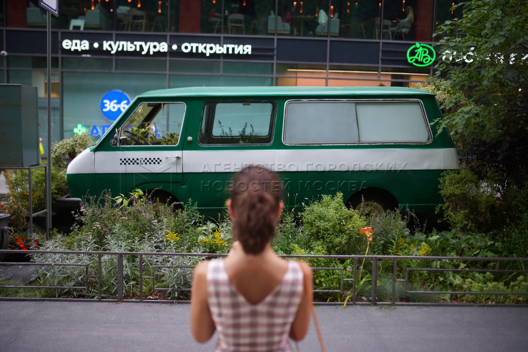 Москва 2024 куда пойти. Городские тропики. Цветочный джем Москва Сити. Summer Stage площадка Москва. Москва Сити новости.