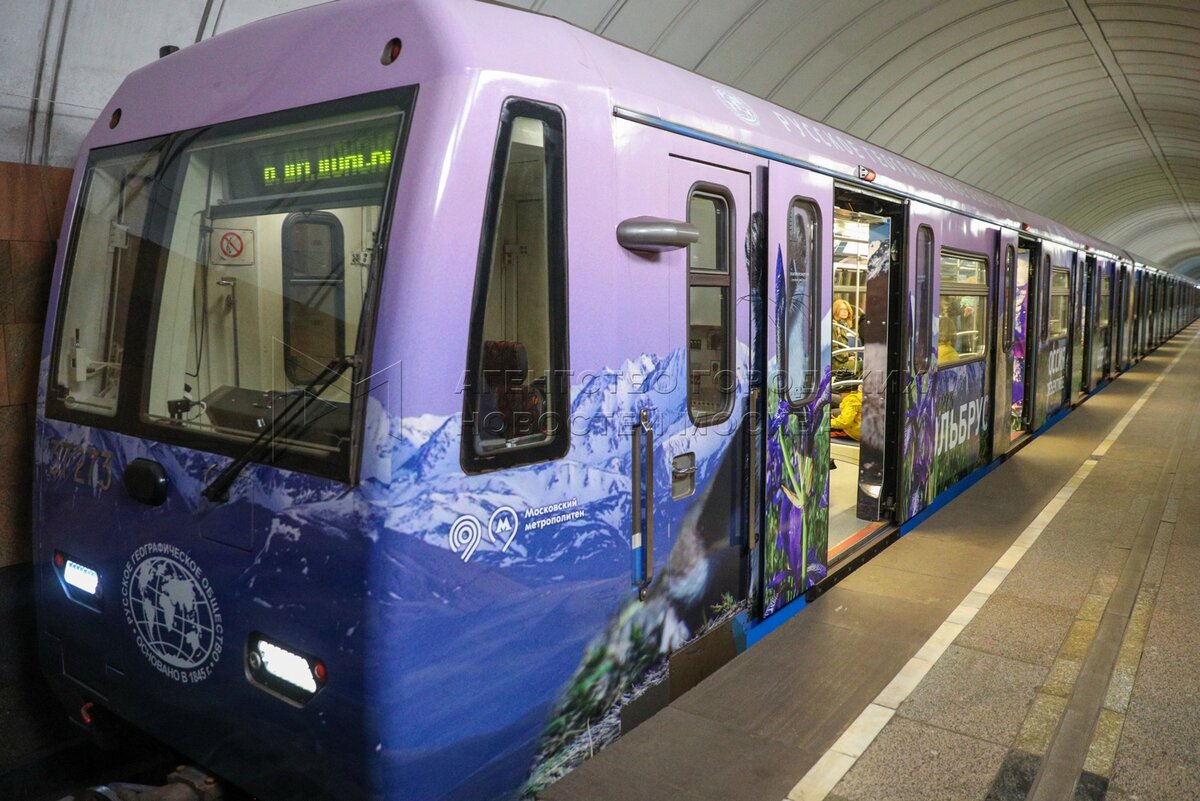фиолетовая ветка метро