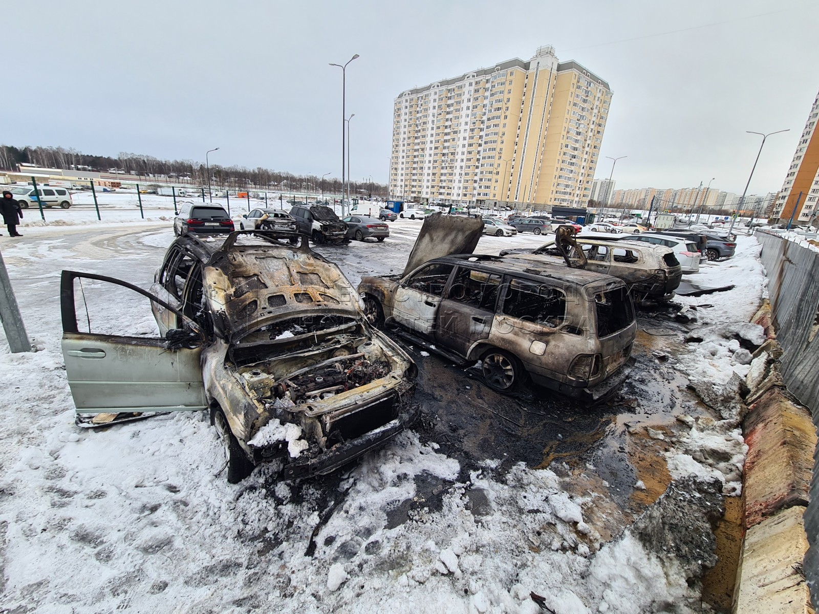 Агентство городских новостей «Москва» - Фотобанк