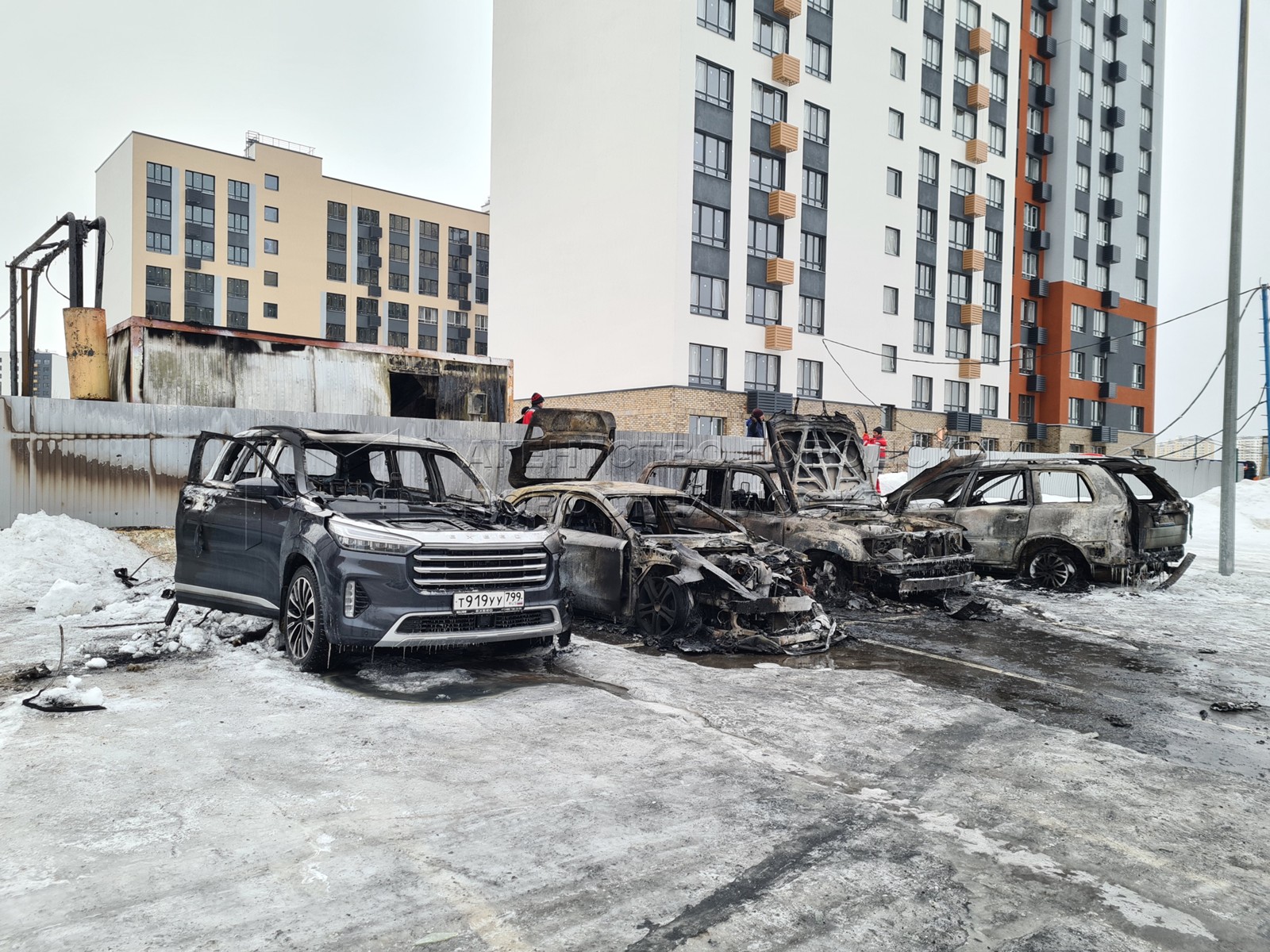 Агентство городских новостей «Москва» - Фотобанк