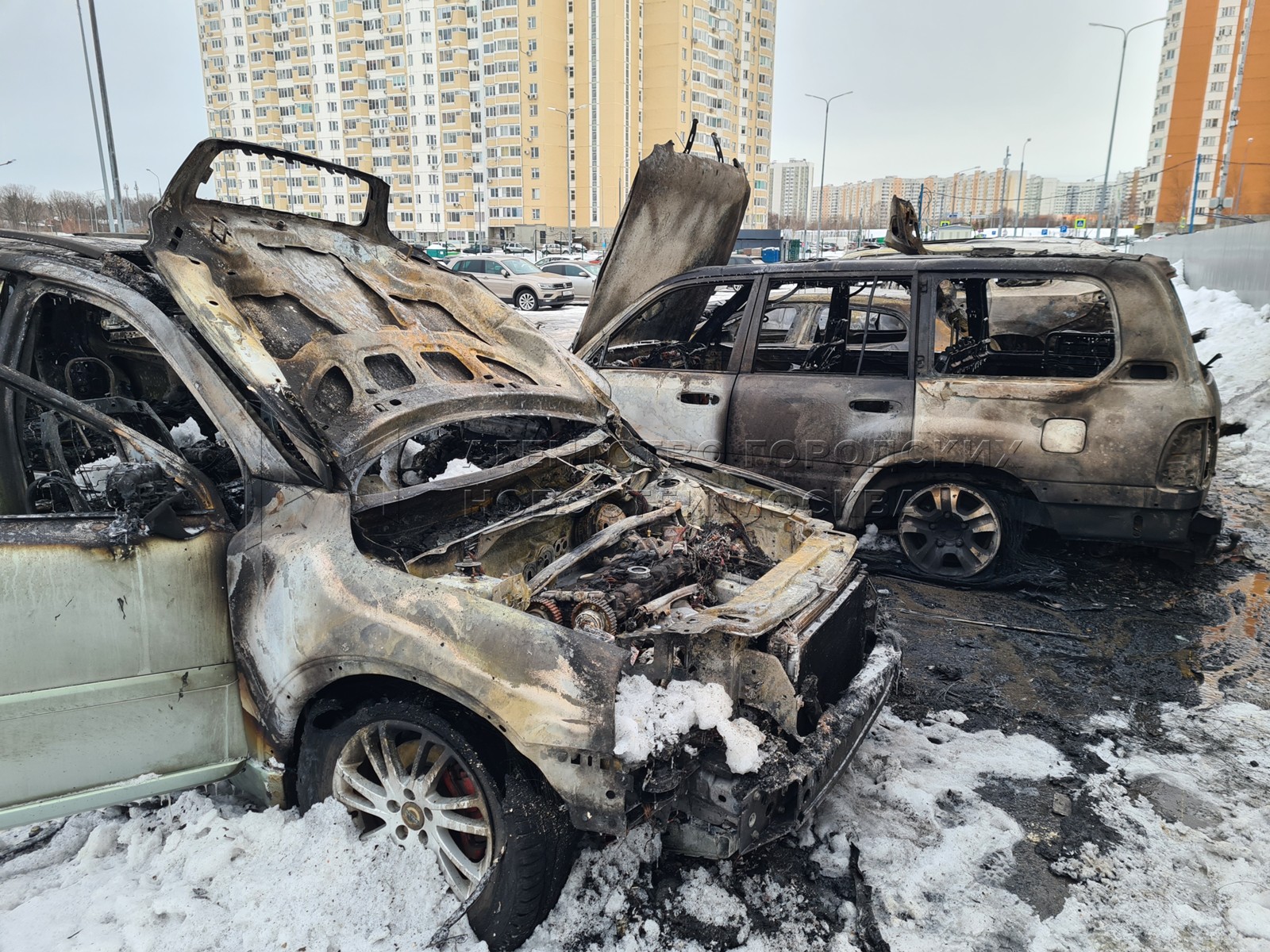 Агентство городских новостей «Москва» - Фотобанк