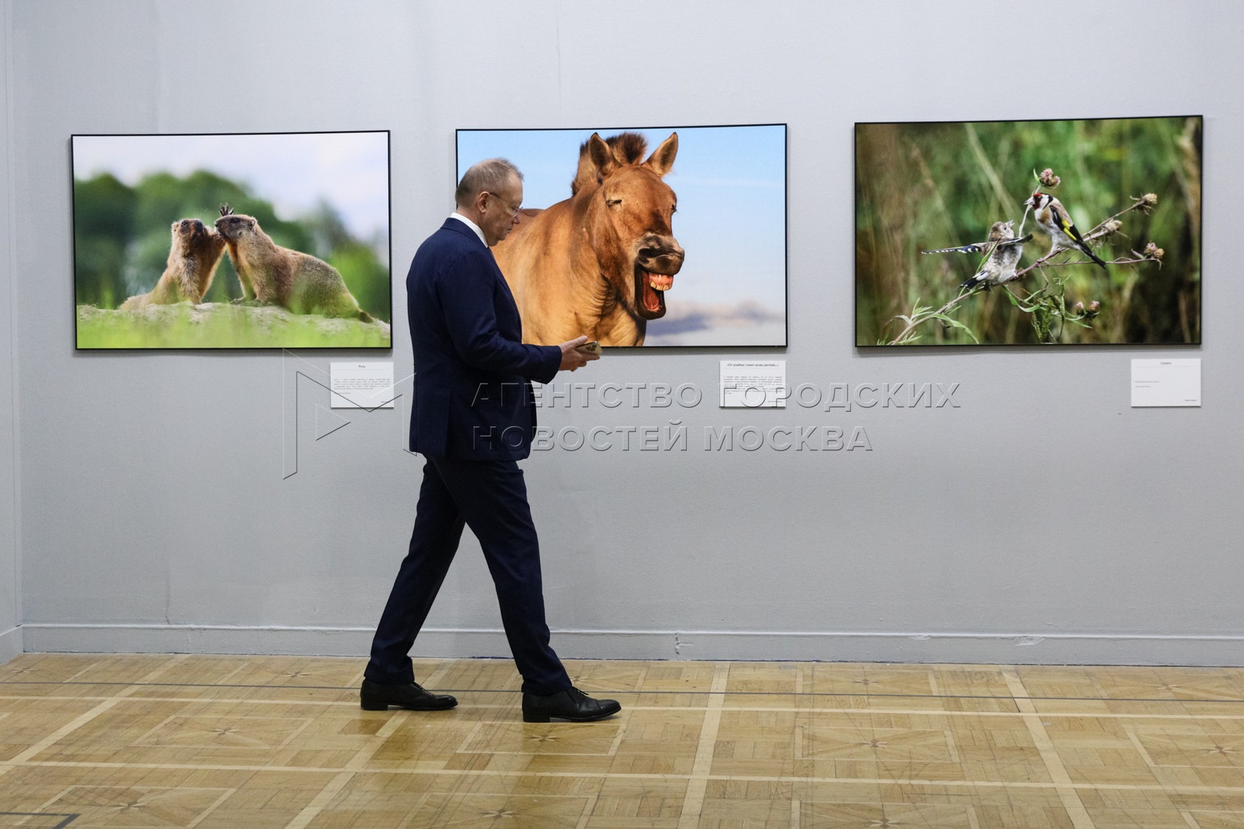 Первозданная россия 2024 даты. Первозданная Россия 2024. Выставка Первозданная Россия 2024. Третьяковская галерея на Крымском валу. Первозданная Россия 2024 фоны.