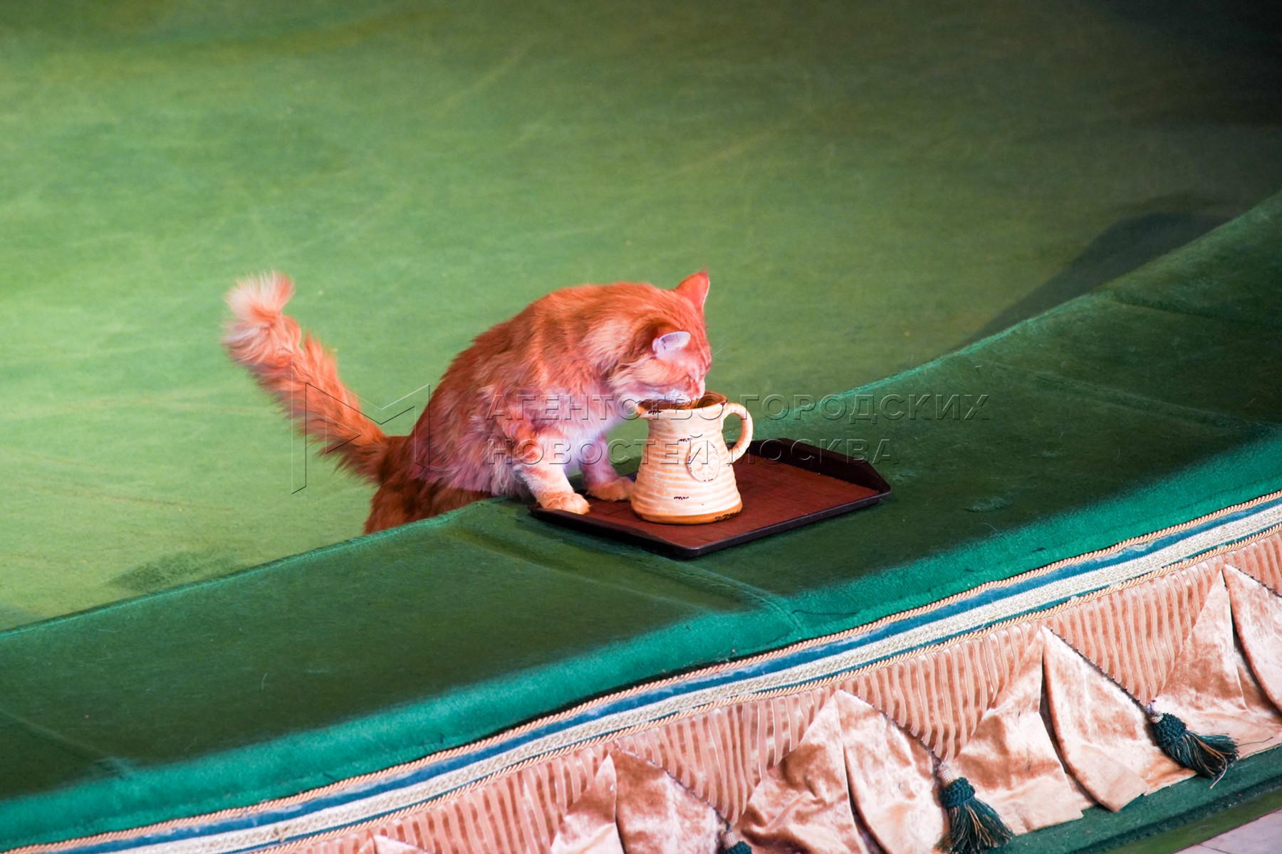 Агентство городских новостей «Москва» - Фотобанк