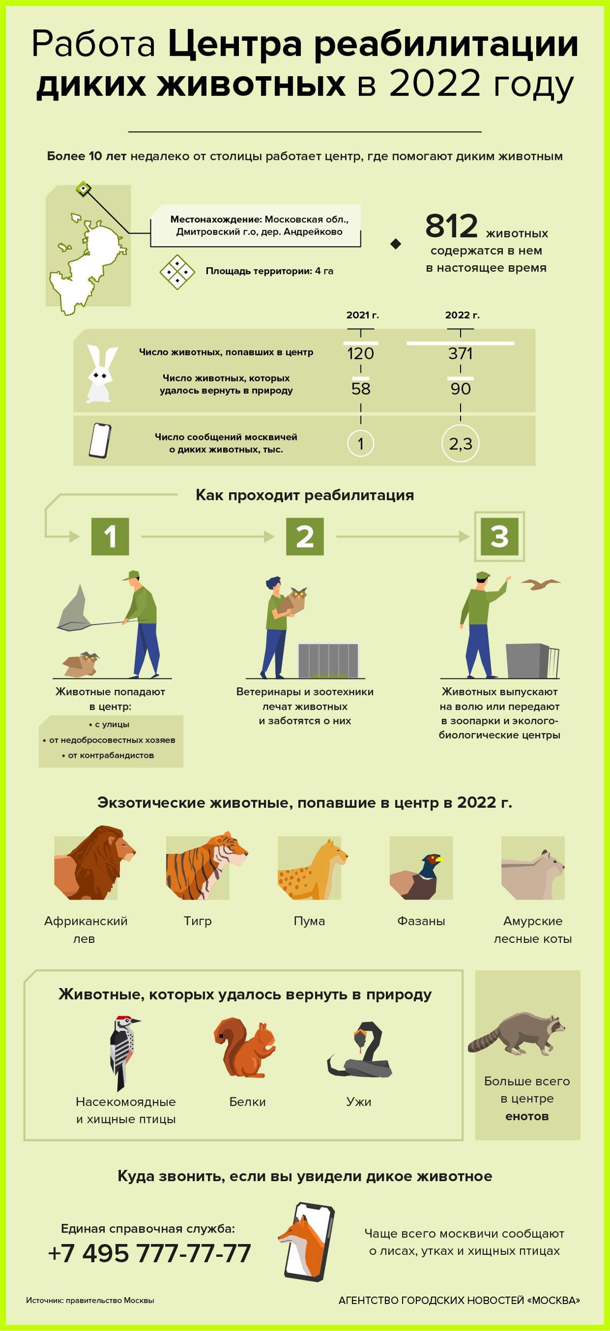Работа Центра реабилитации диких животных в 2022 году - Агентство городских  новостей «Москва» - информационное агентство