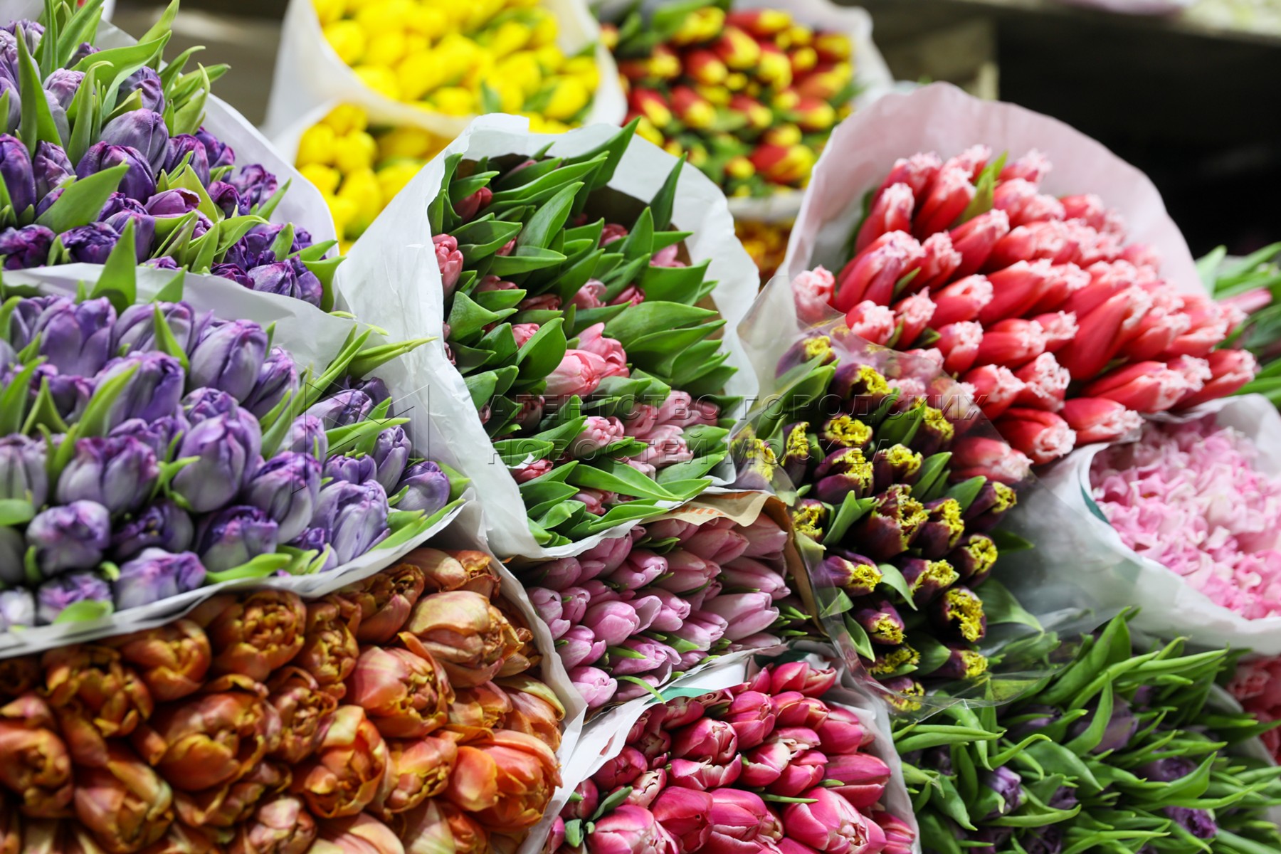 Рижский рынок цены на цветы 2024