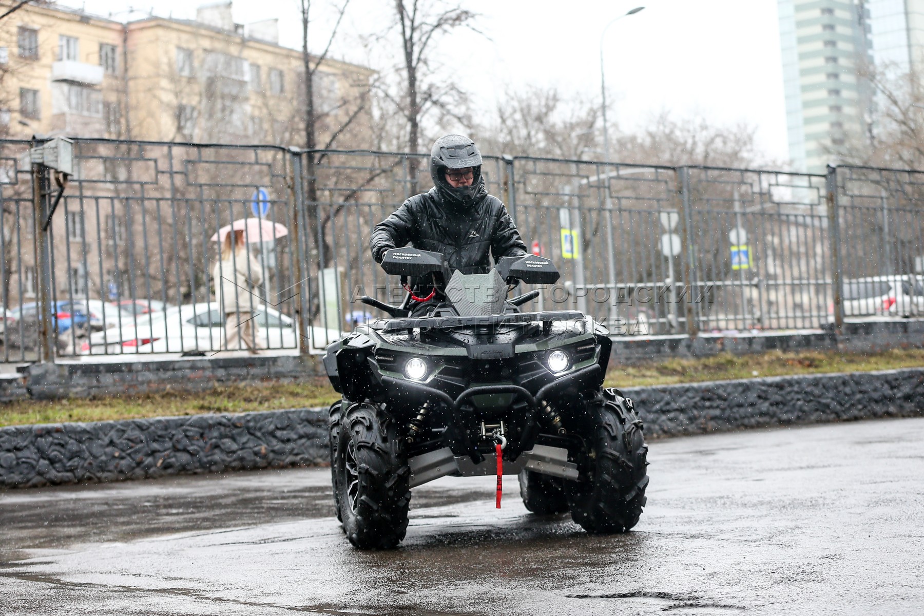 Стелс гепард зимой