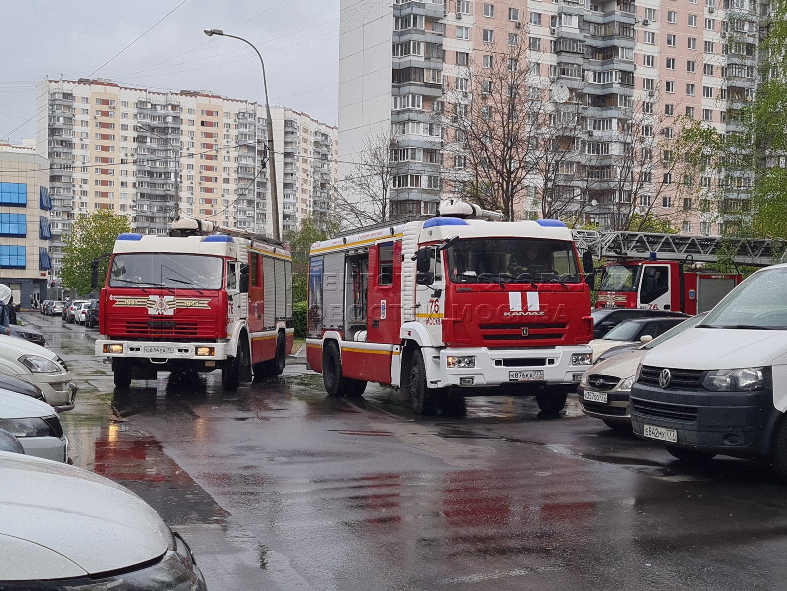 Агентство городских новостей «Москва» - Фотобанк