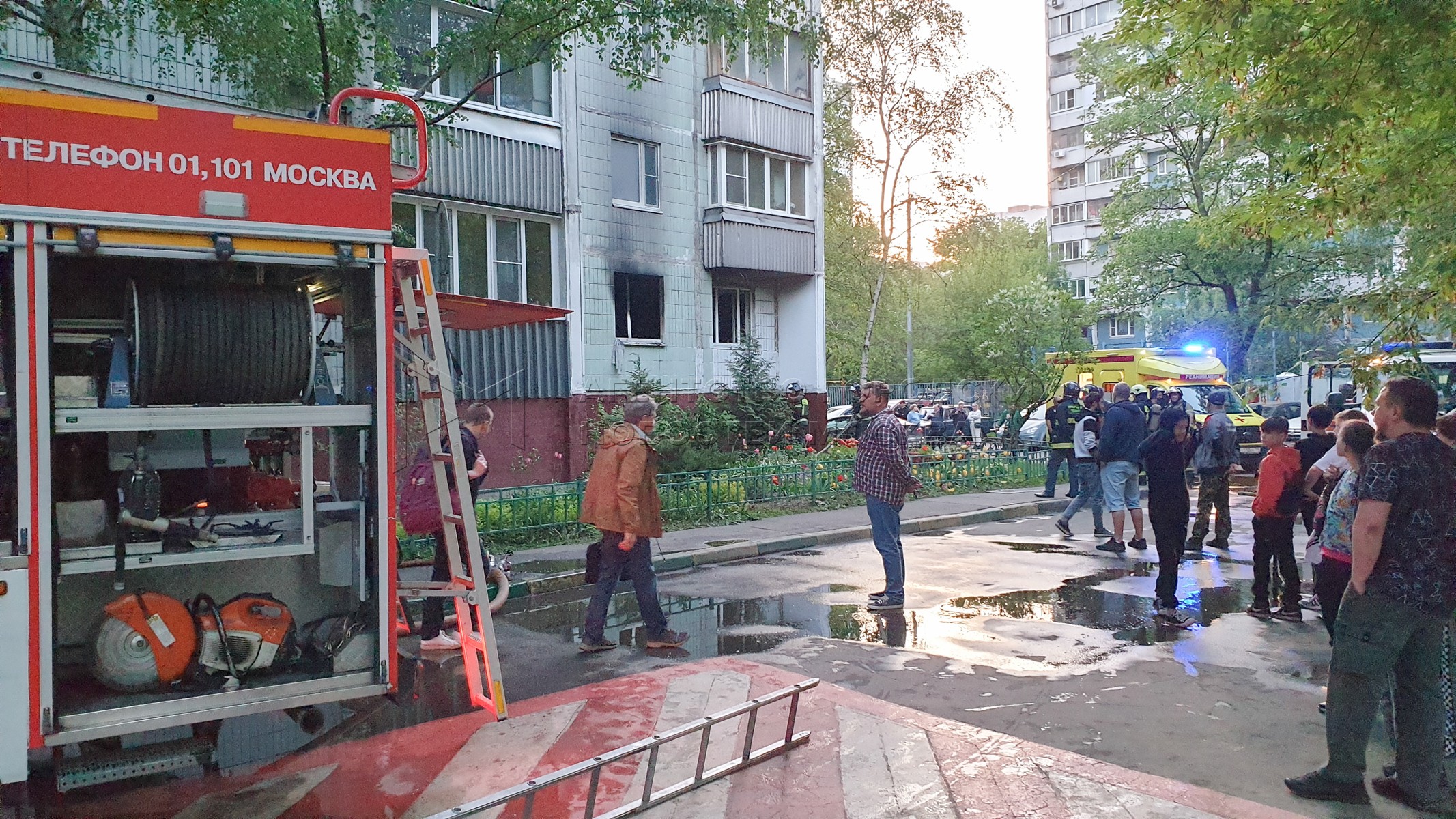 Агентство городских новостей «Москва» - Фотобанк