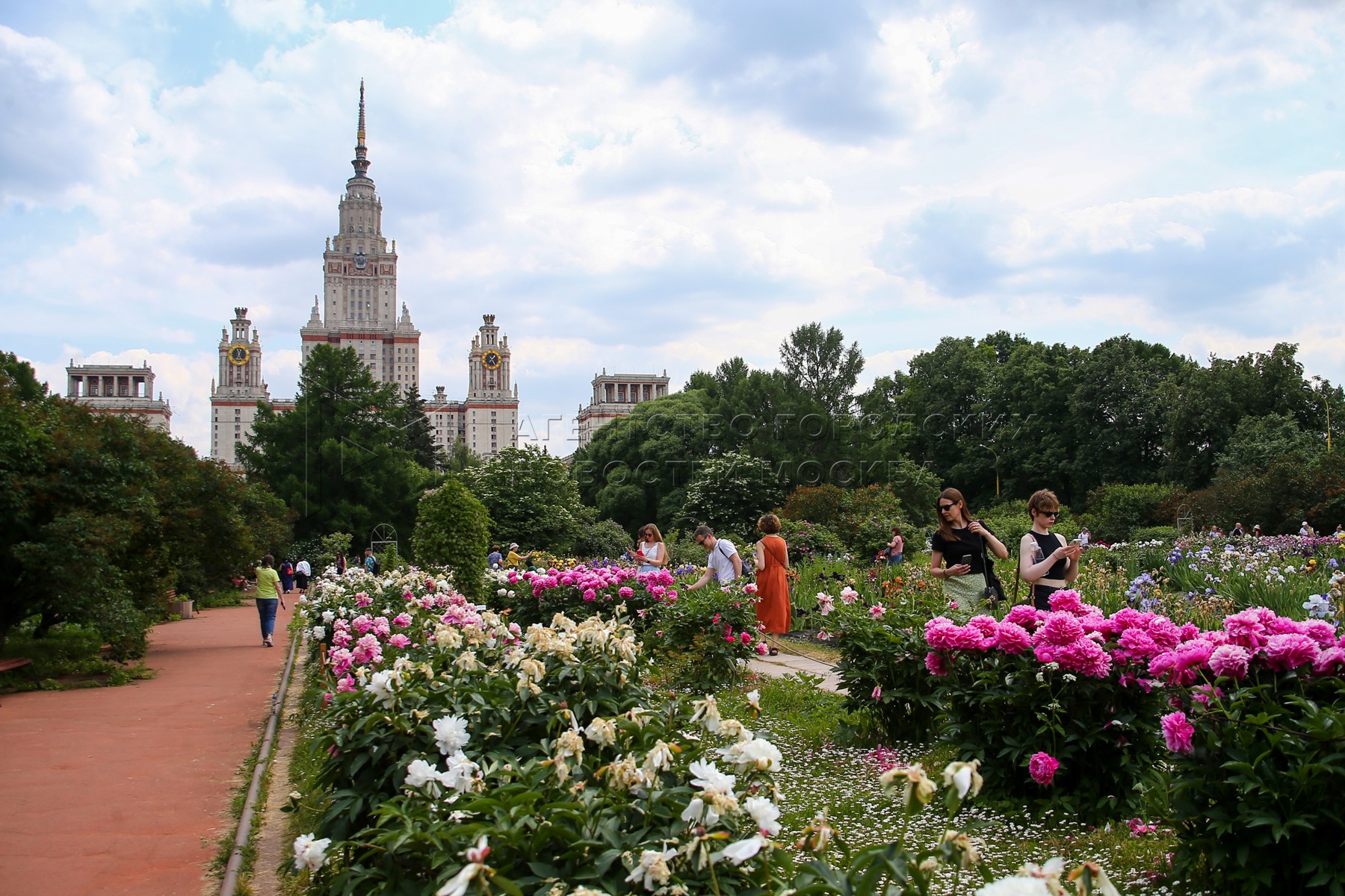 Воробьёвы горы Москва