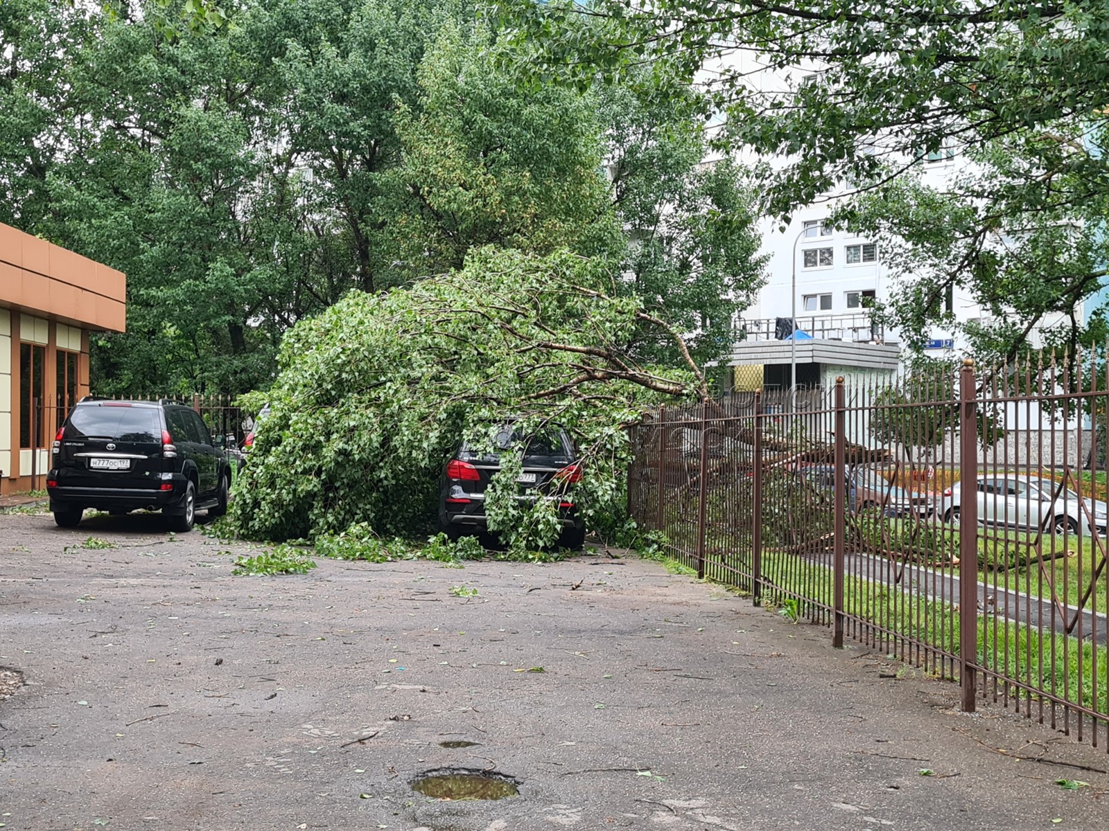 Новости 203. Якутия фото. Шторм в москве. Новости 203. Новости 203.