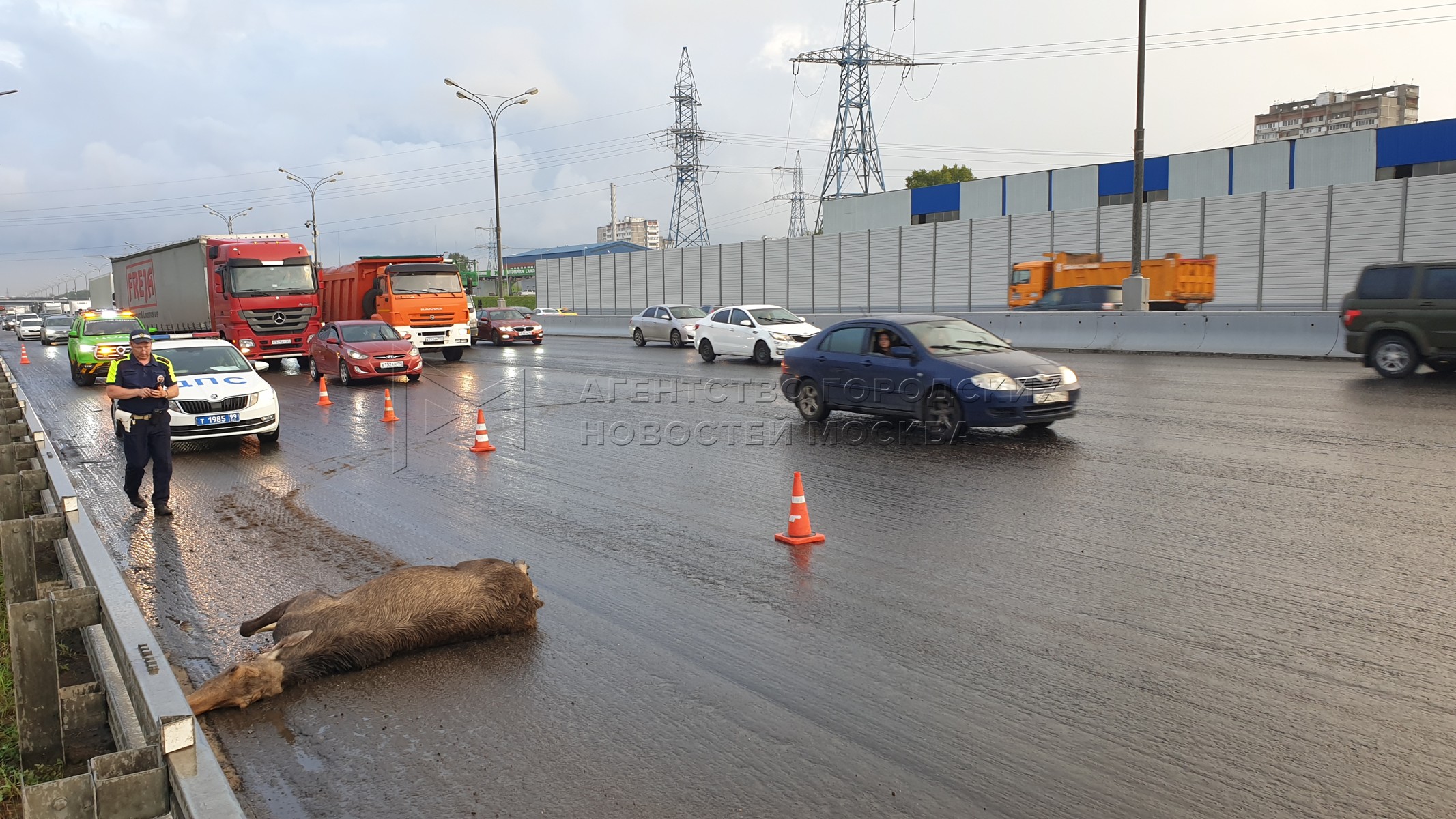 москва мкад сегодня