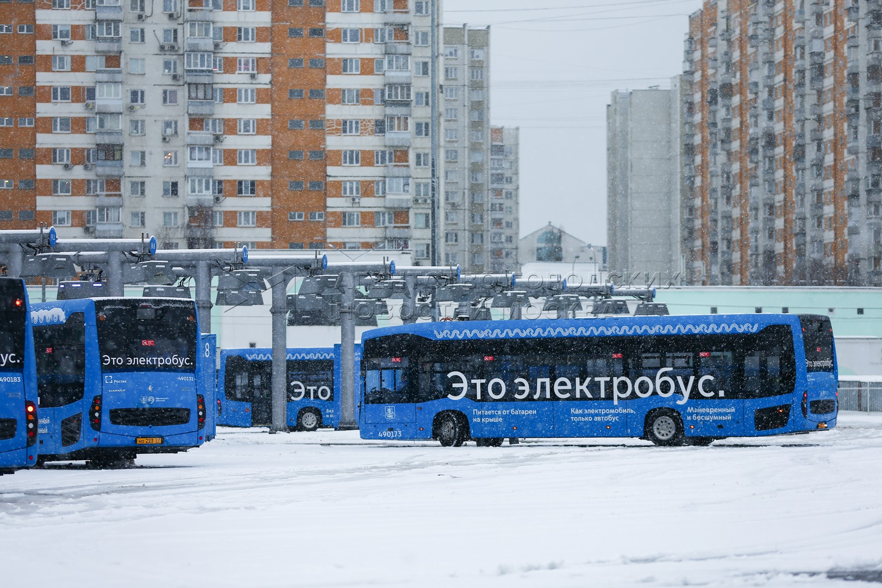 Агентство городских новостей «Москва» - Фотобанк