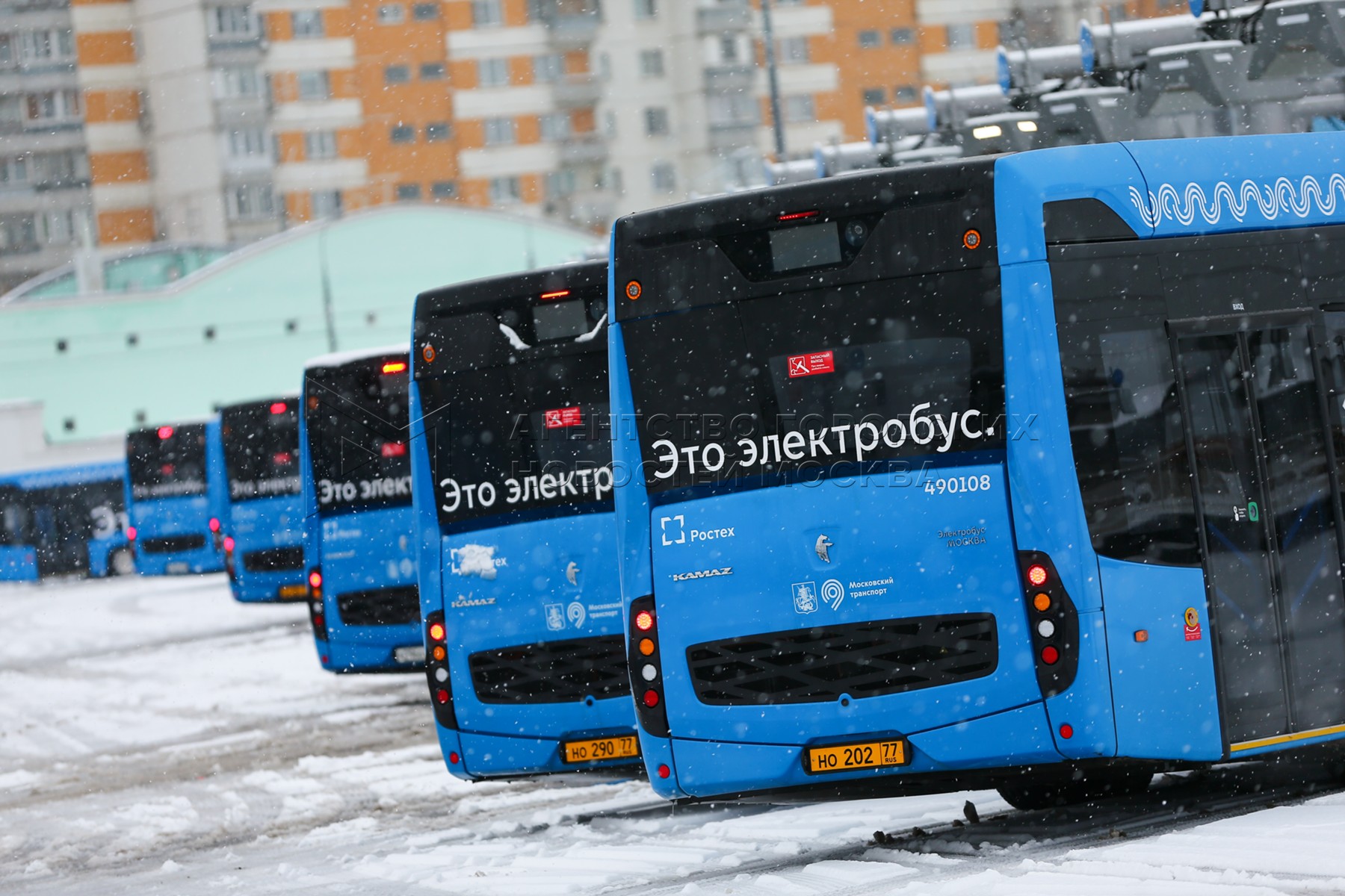 Агентство городских новостей «Москва» - Фотобанк